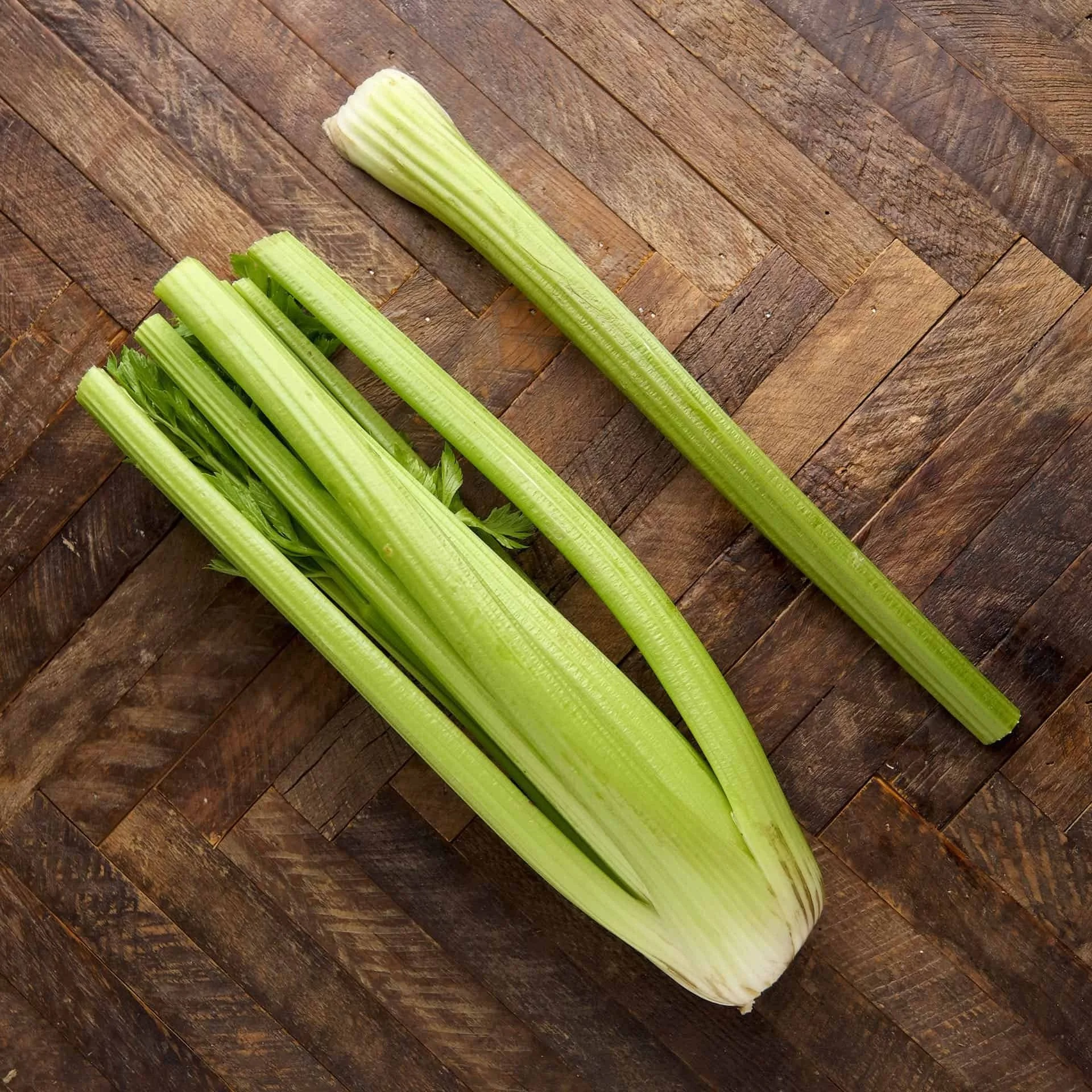 Celery Stalk (Apium graveolens)