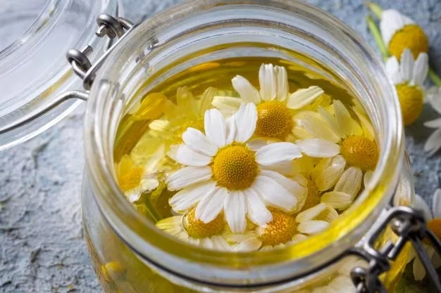 Chamomile (Infused Oil)