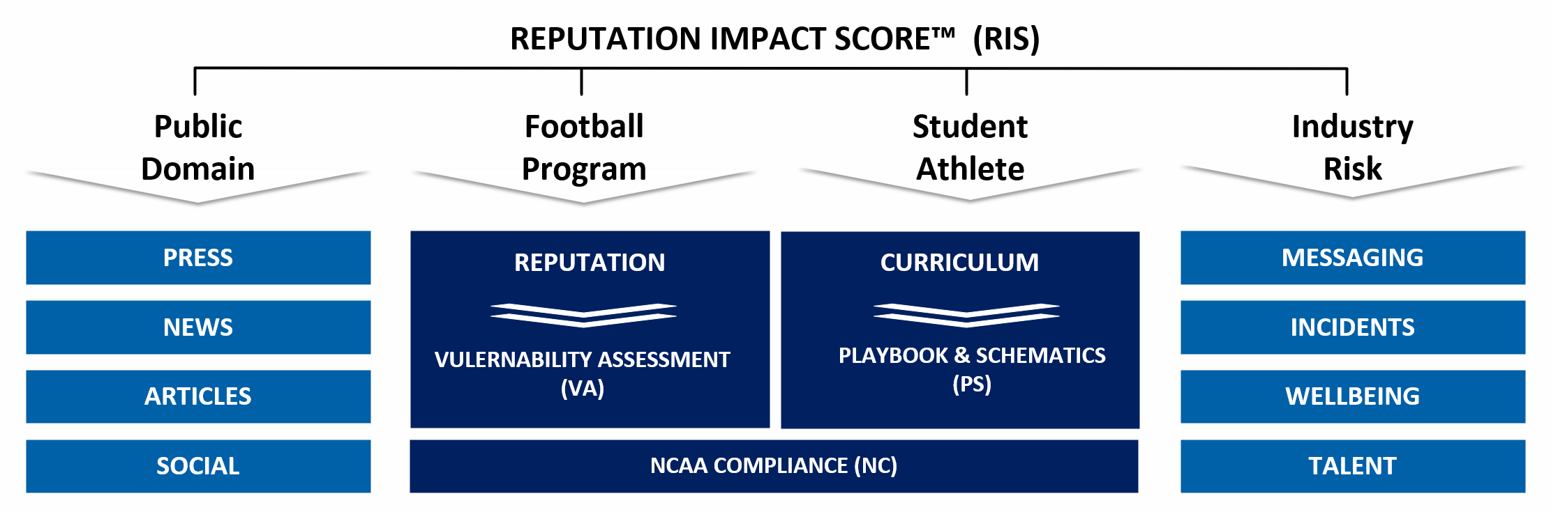 RIS Model_20250523.png
