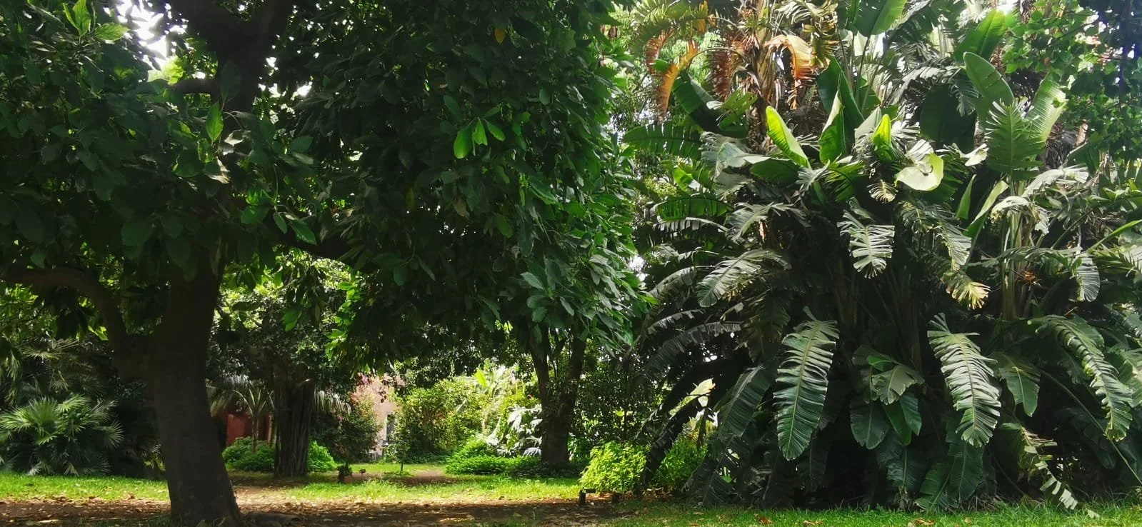 Il parco, foto di Alice Chiara Petrosino .jpeg
