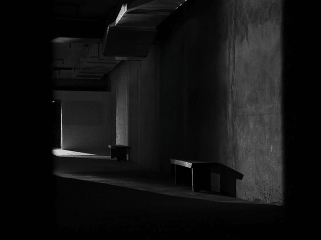 Ye x Treehouse (Coming Soon)