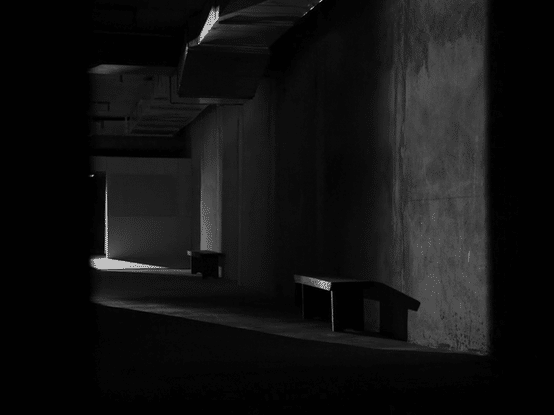 Ye x Treehouse (Coming Soon)