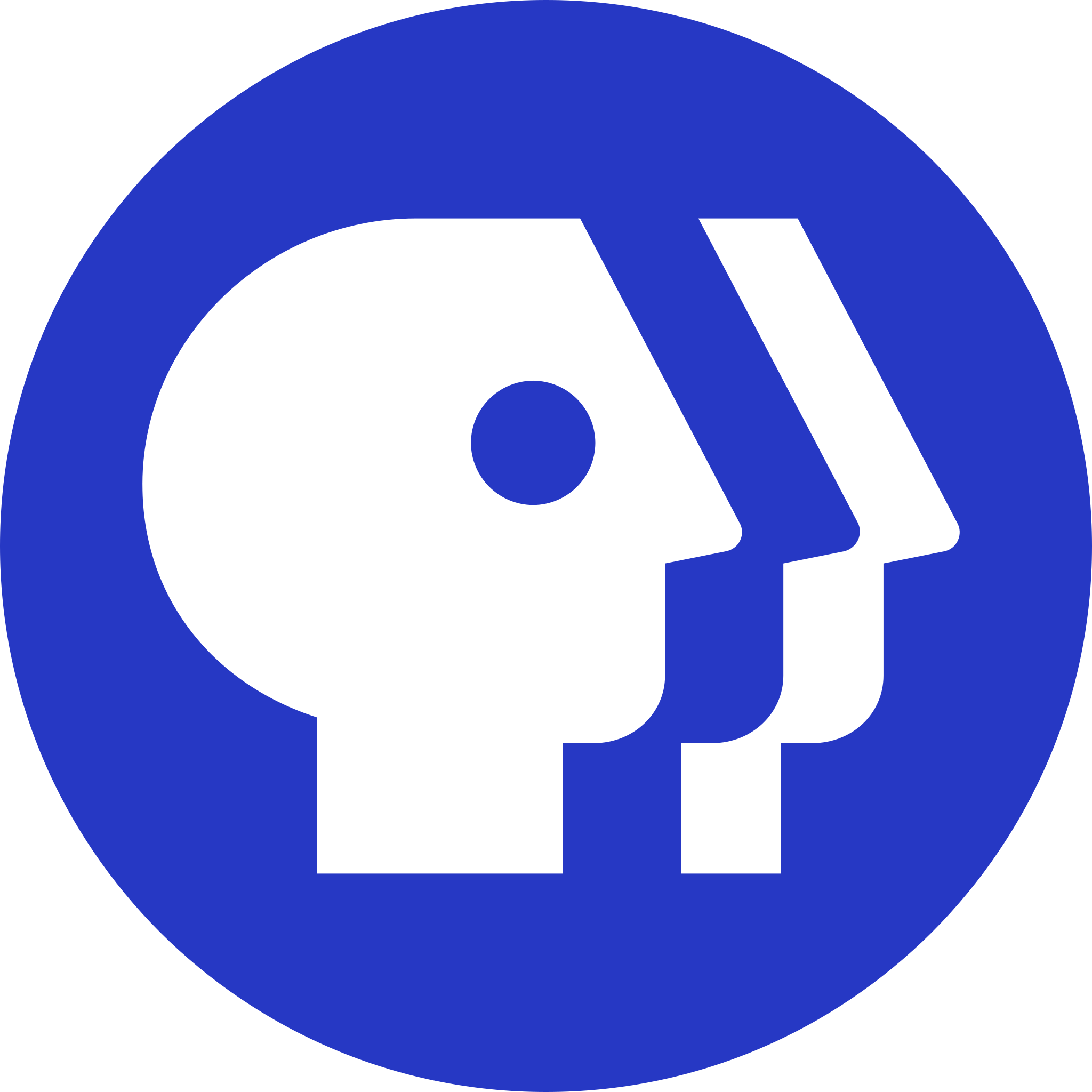 PBS quotes Neha Narula on “memecoins”