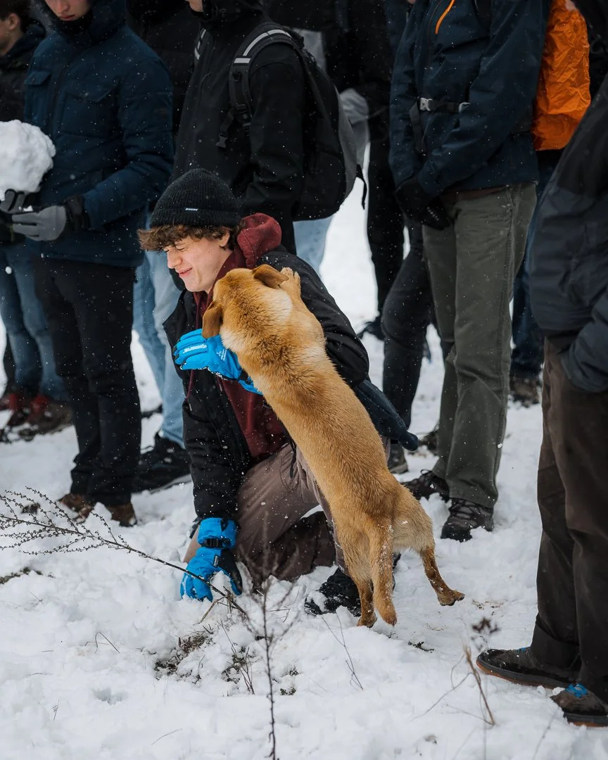 IMG_1787 - Eindreis -> Post 1.jpg