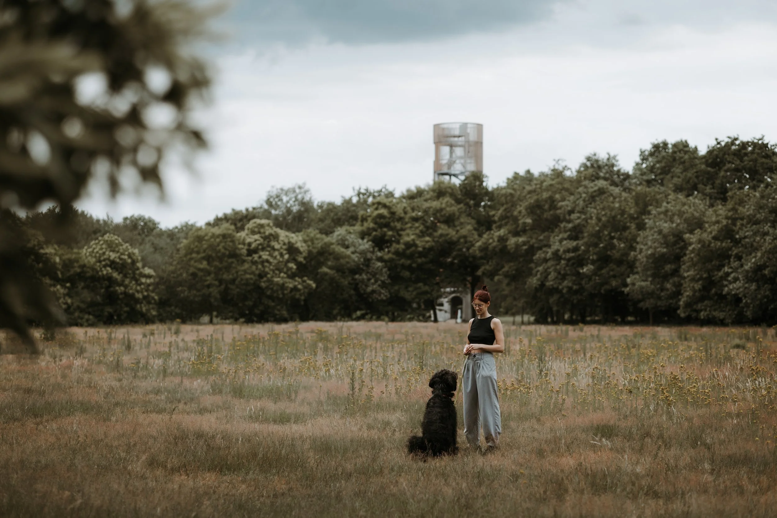 IMG_4871 - Mushu_.jpg