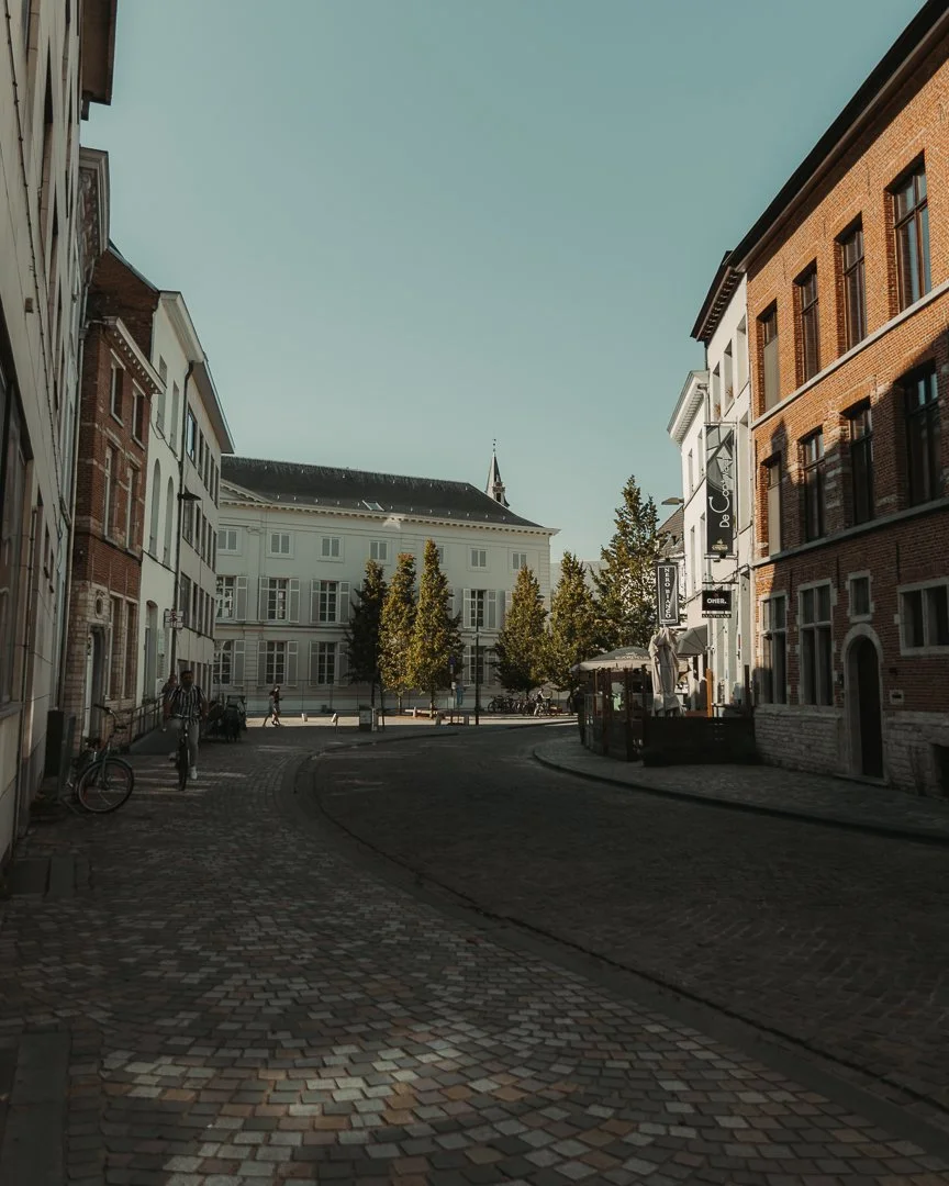 IMG_6913 Mechelen.jpg