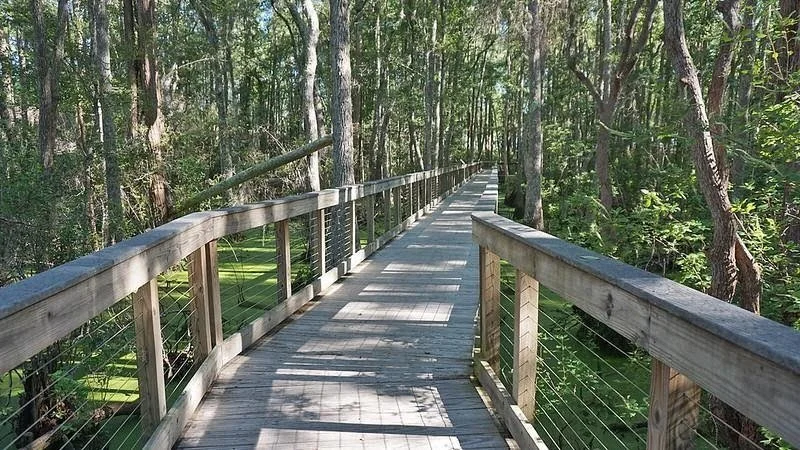 Panama City Beach Conservation Park and trails