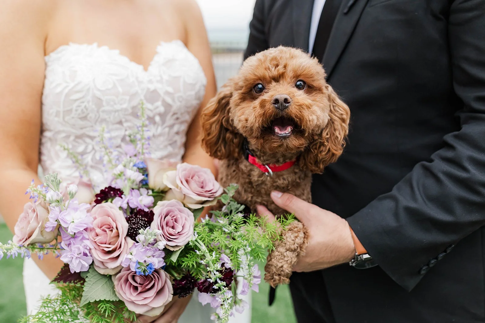 A closeup photo of a bride and groom holding their dog between them at their wedding.