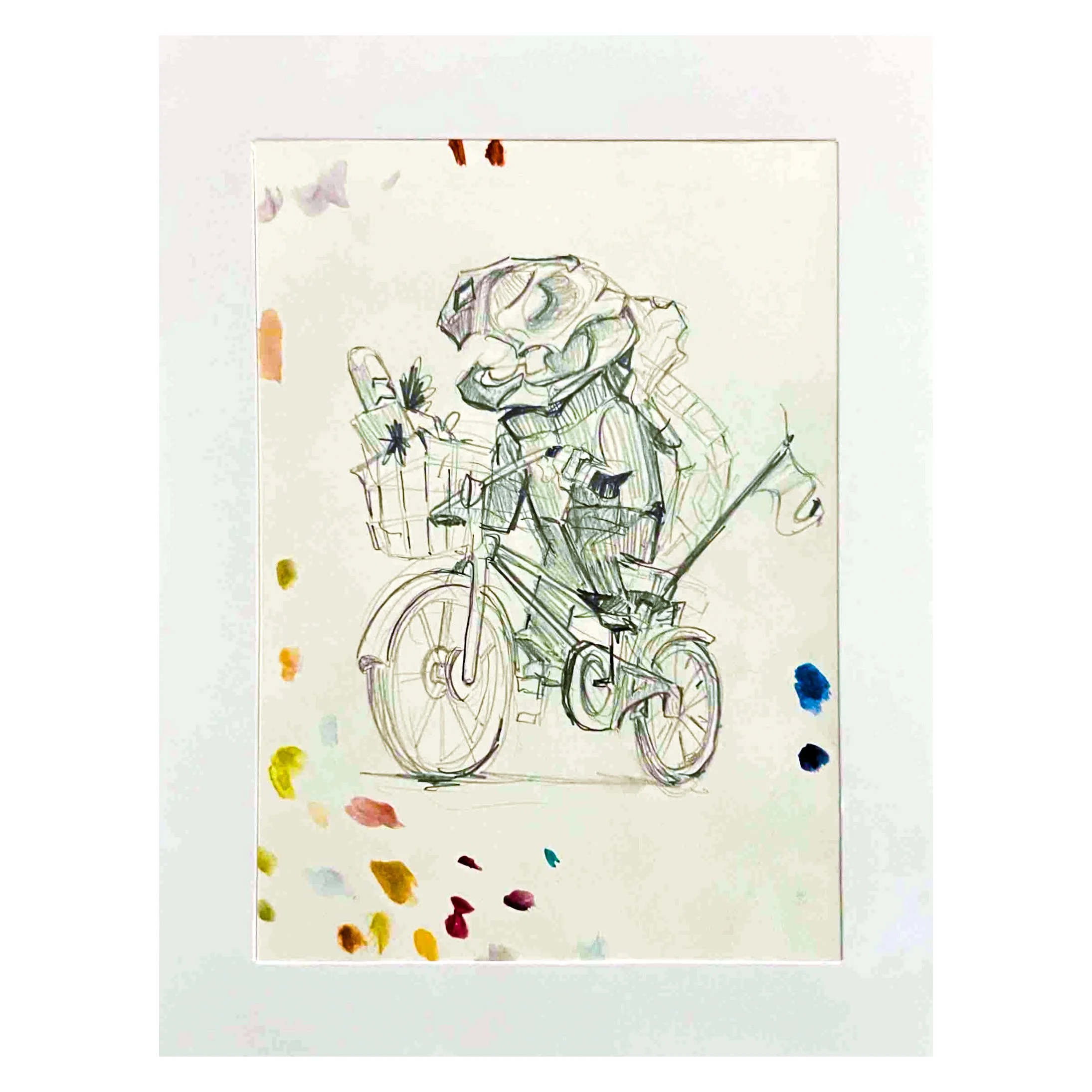 Lineas de Contorno y Estructura de Solidos