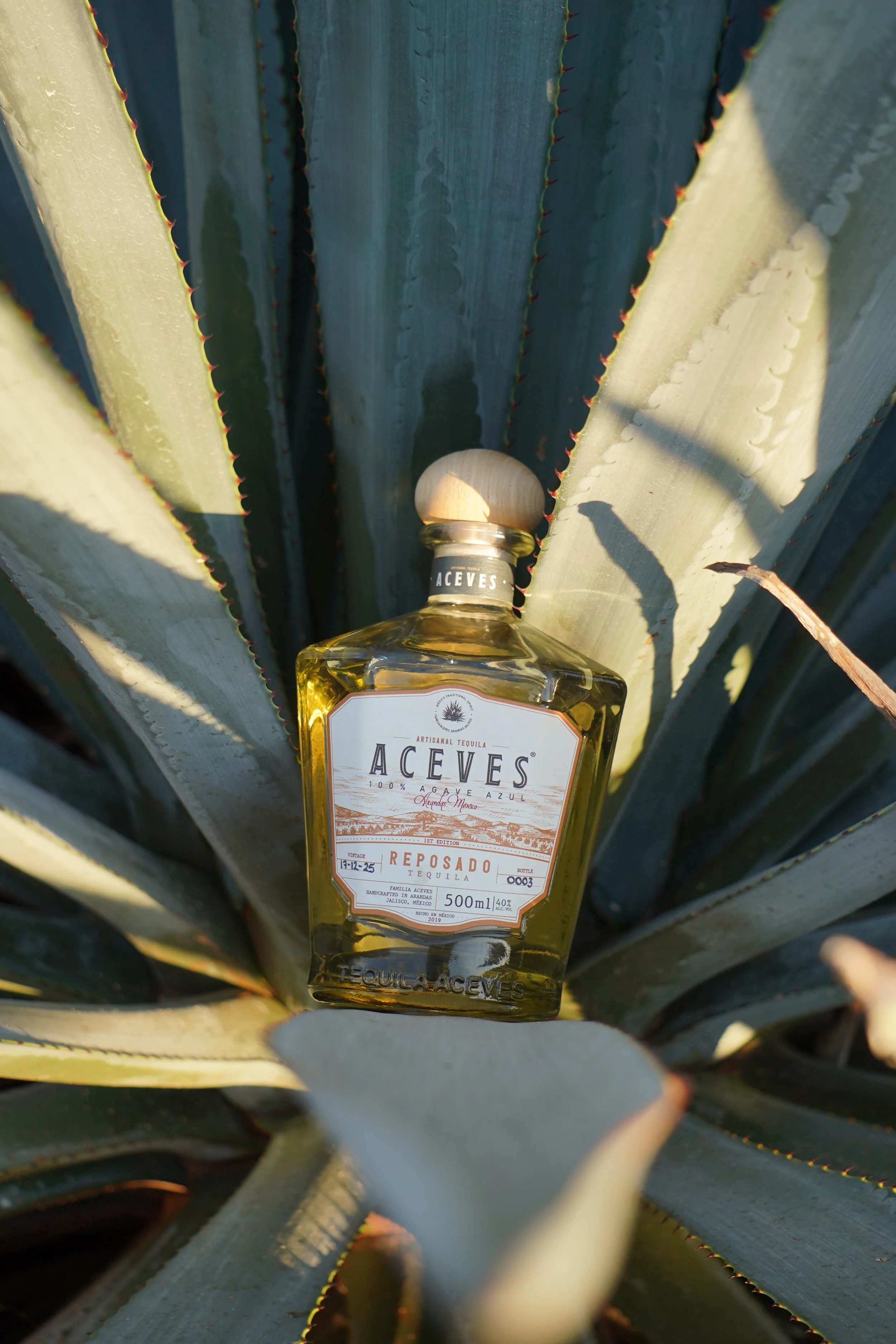 Aceves Tequila Bottle