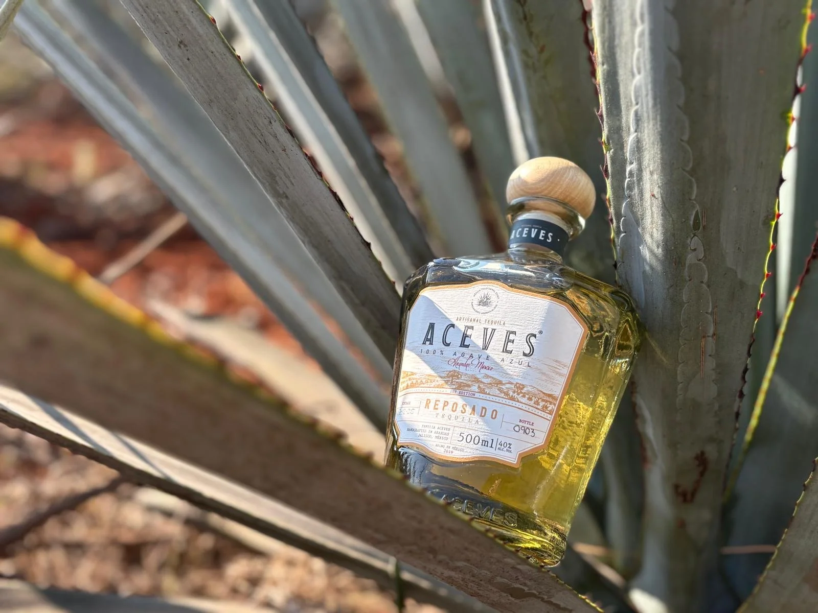 Tequila ACEVES Reposado
