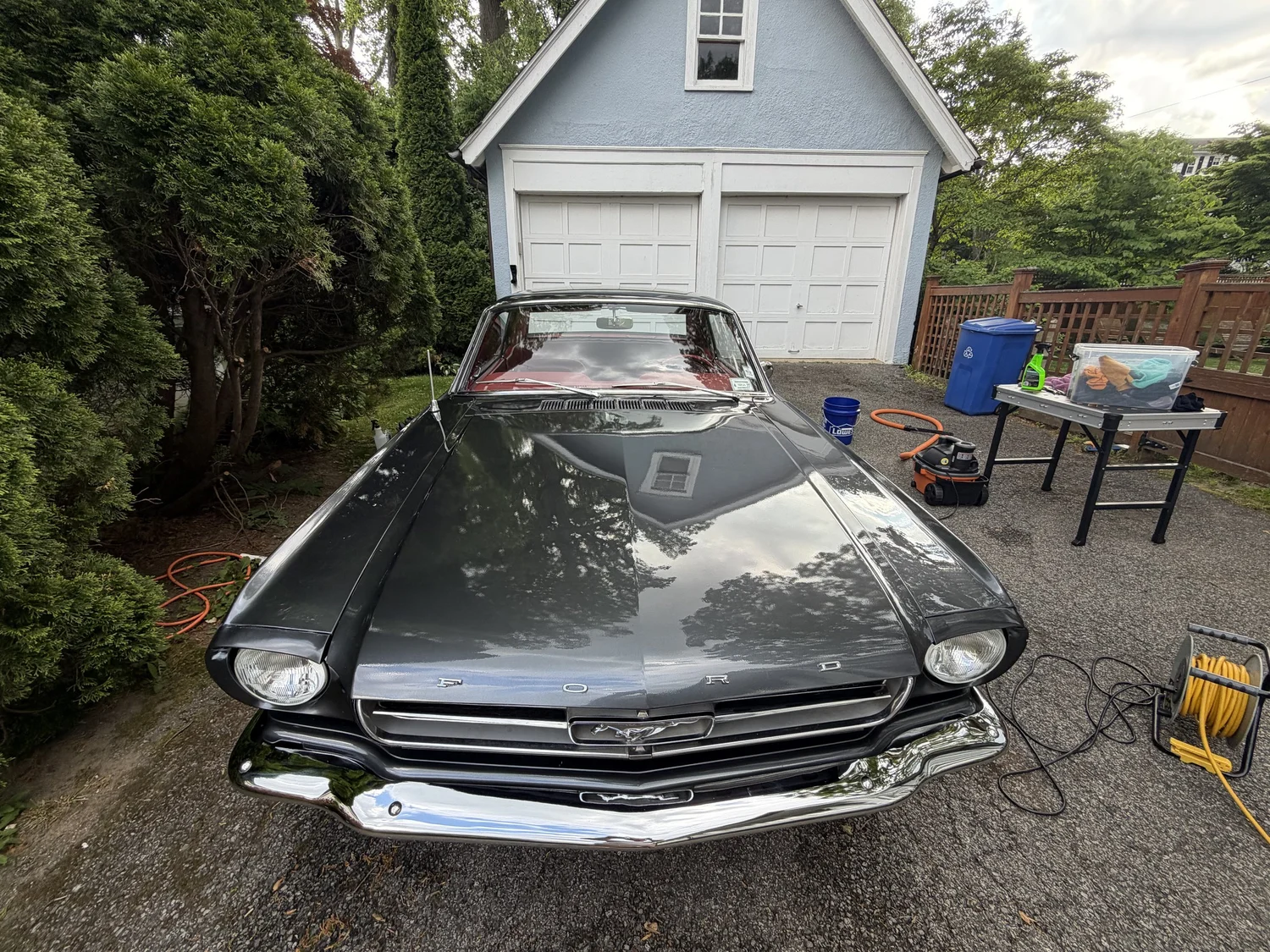 Classic Mustang after Exterior Essentials mobile detailing in Old Greenwich, CT