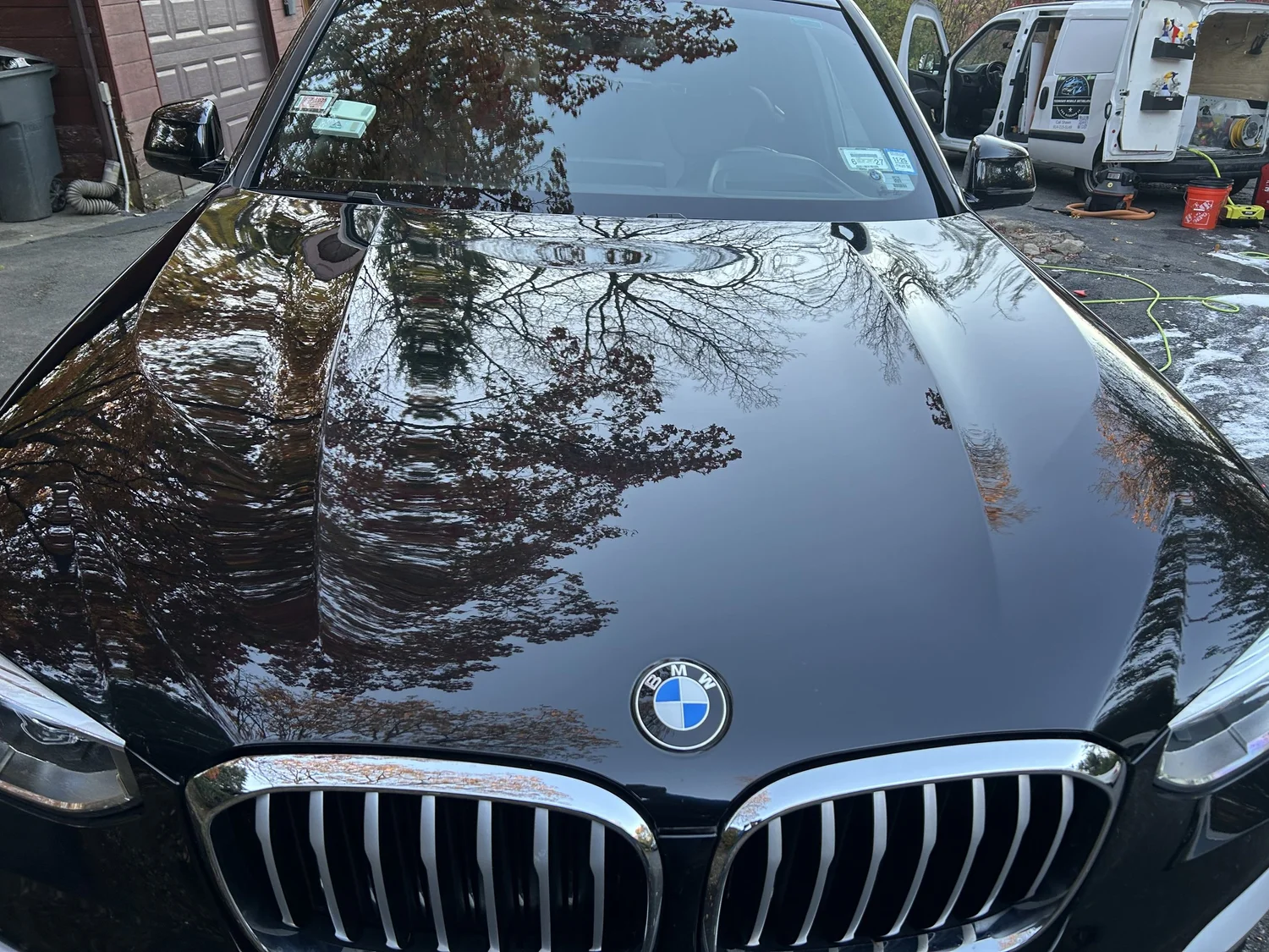 Black BMW hood reflecting trees after ceramic coating