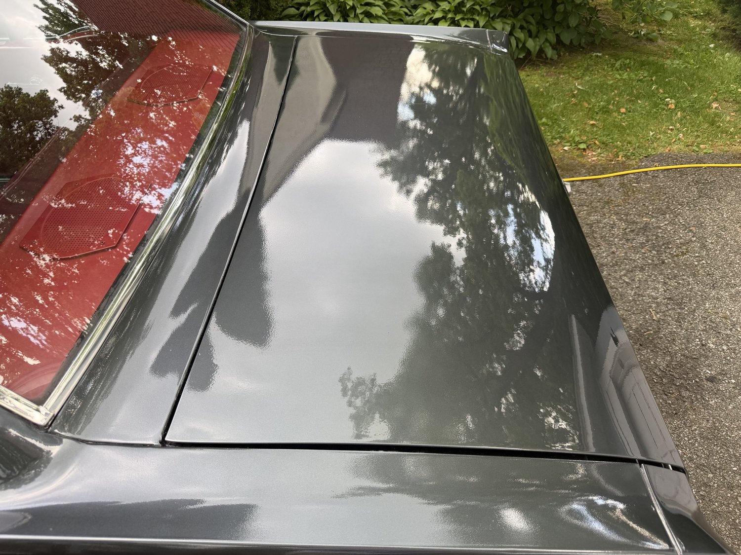 Close-up of classic Mustang showing deep gloss after paint correction