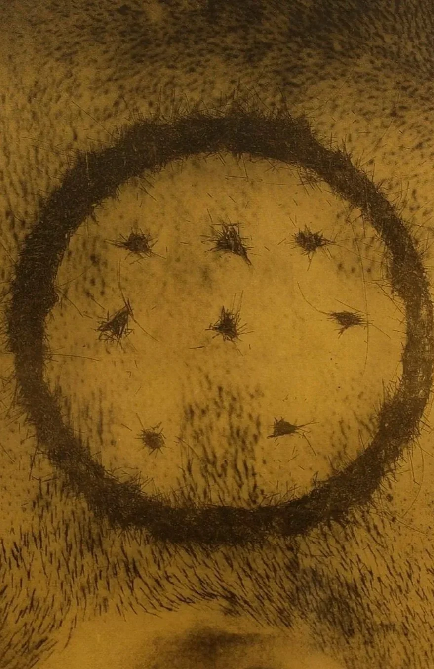 "Pathogenic Power" by Santiago Rueda Fajardo. Bogota's Chamber of Commerce. 2006.