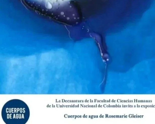 UNIVERSIDAD NACIONAL-ROGELIO SALMONA BLDG, Bogota, Colombia 2009