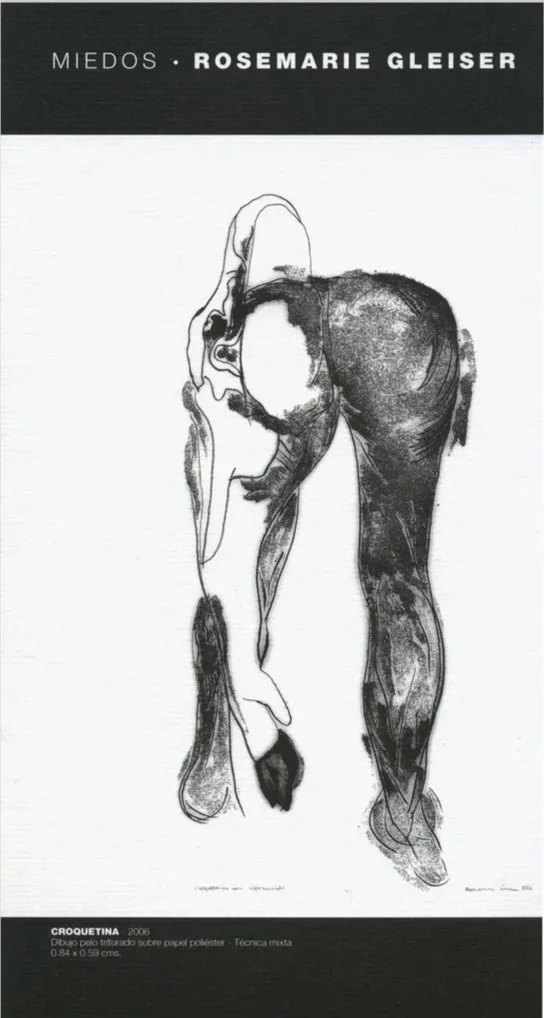 FUNDACION SANTILLANA, 2006. Bogota, Colombia.