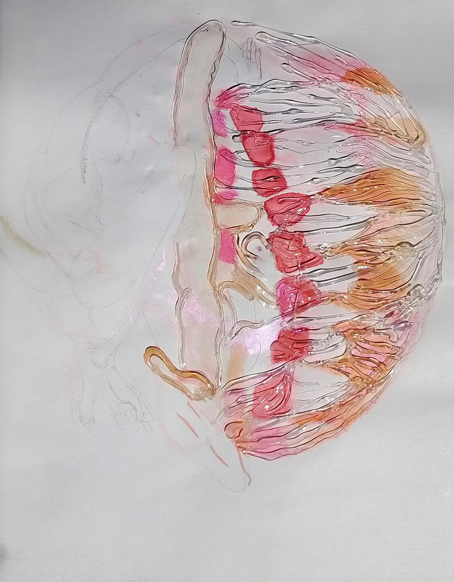 Heroe's true reflection, 2025
Watercolor, ink, graphite, metallic pigments, and silicon on paper.
14 x 11 x 1/4 in