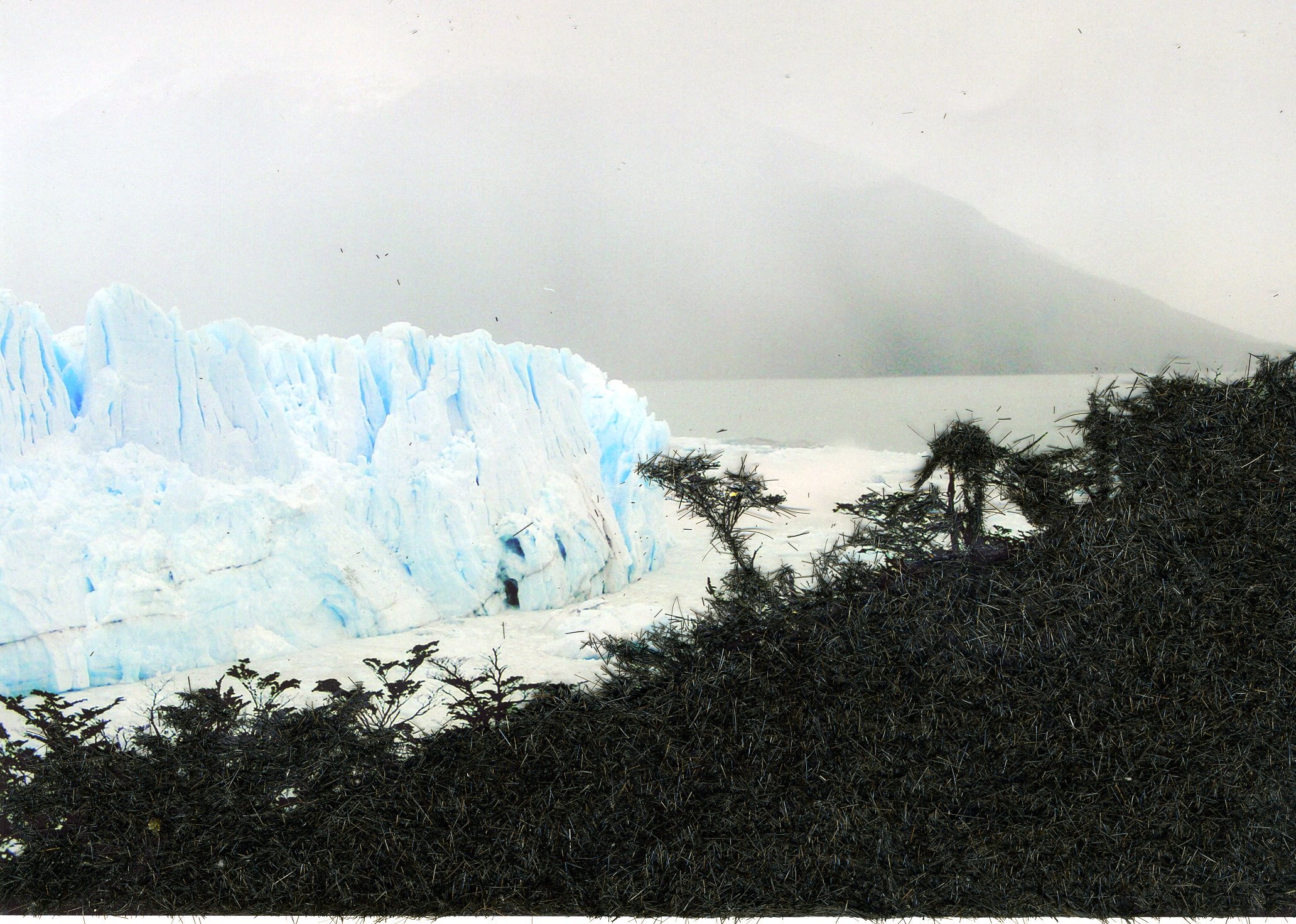 What grows from our head is wired to melt, 2026. Archival pigmented print on Hahnemühle, ed. of 5. Embossed and signed.