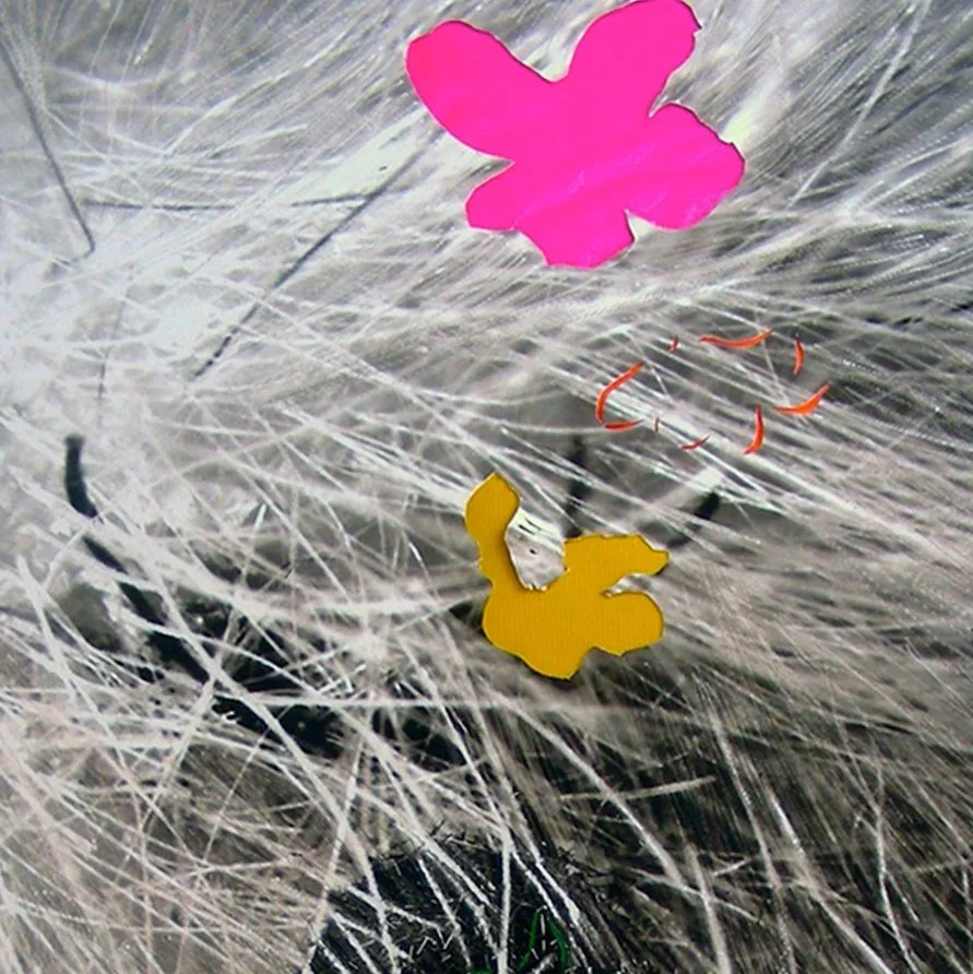 FLOWERS & SHADOWS, 2011