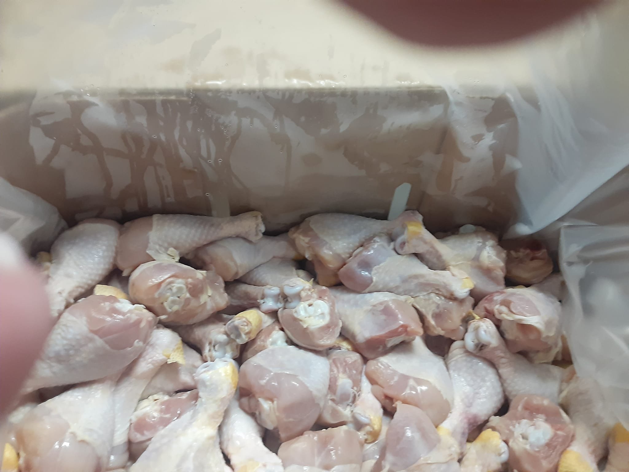 chicken.jpg