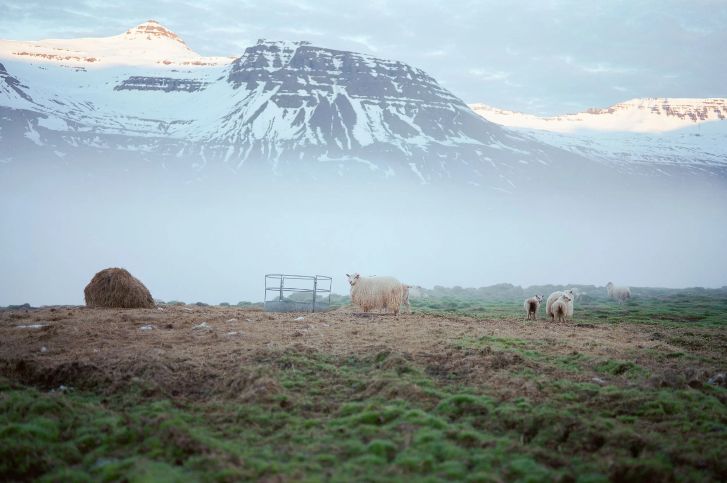 Seydisfjordur_20240617_20315240.jpg