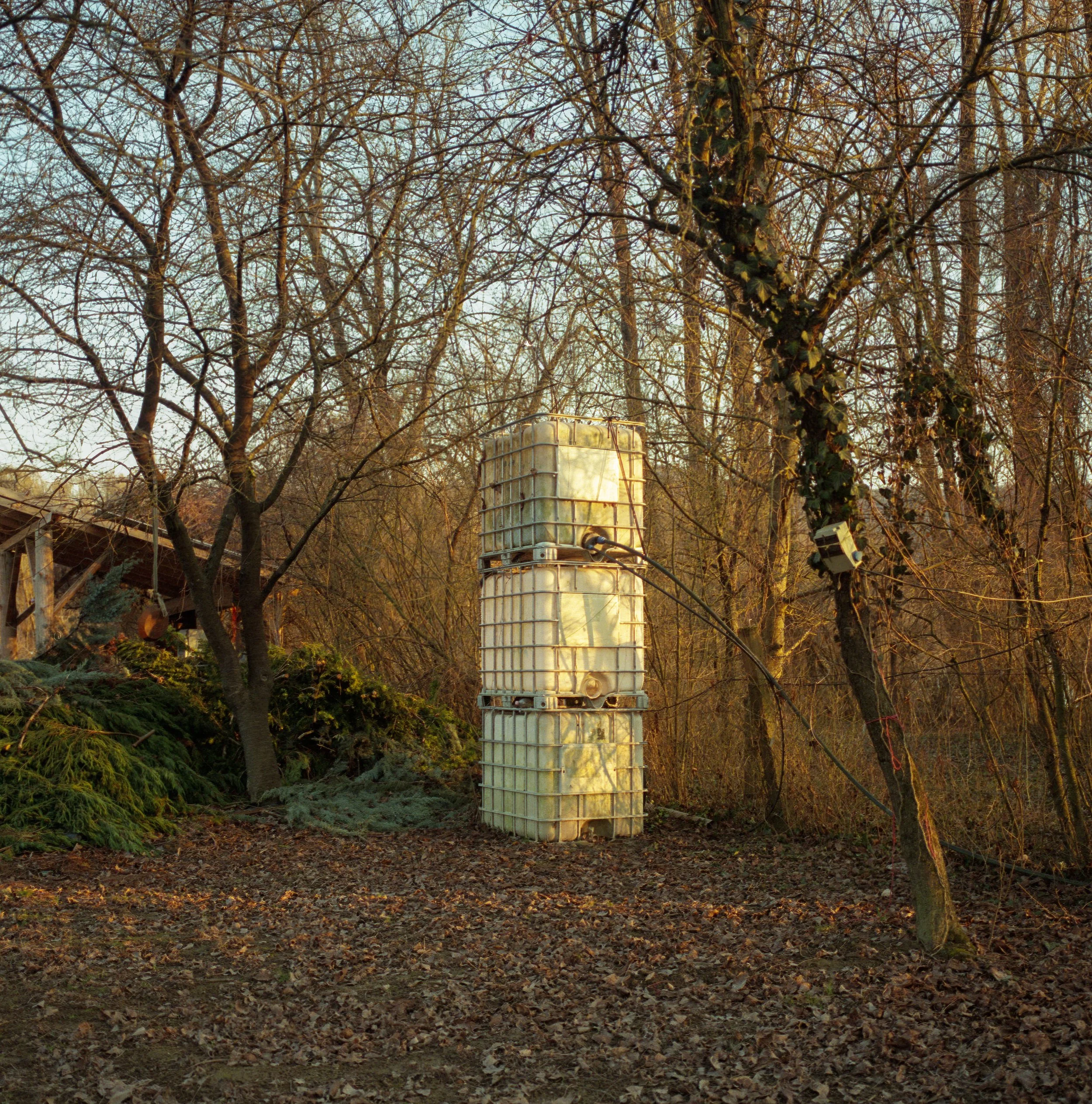 Water tower hidden among trees in winter