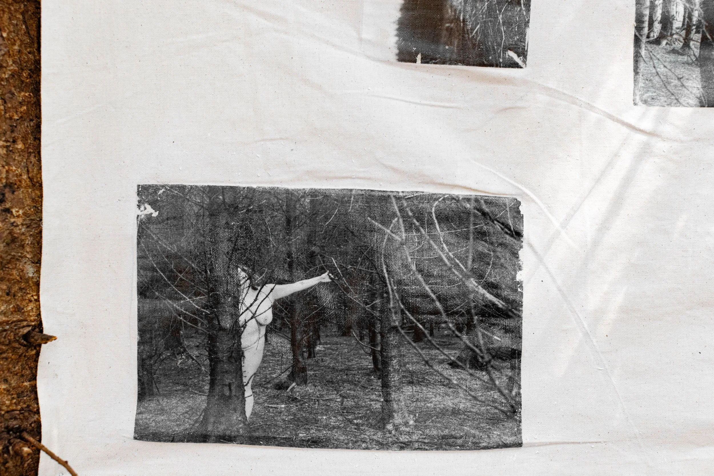 Forest Installation 581.jpg