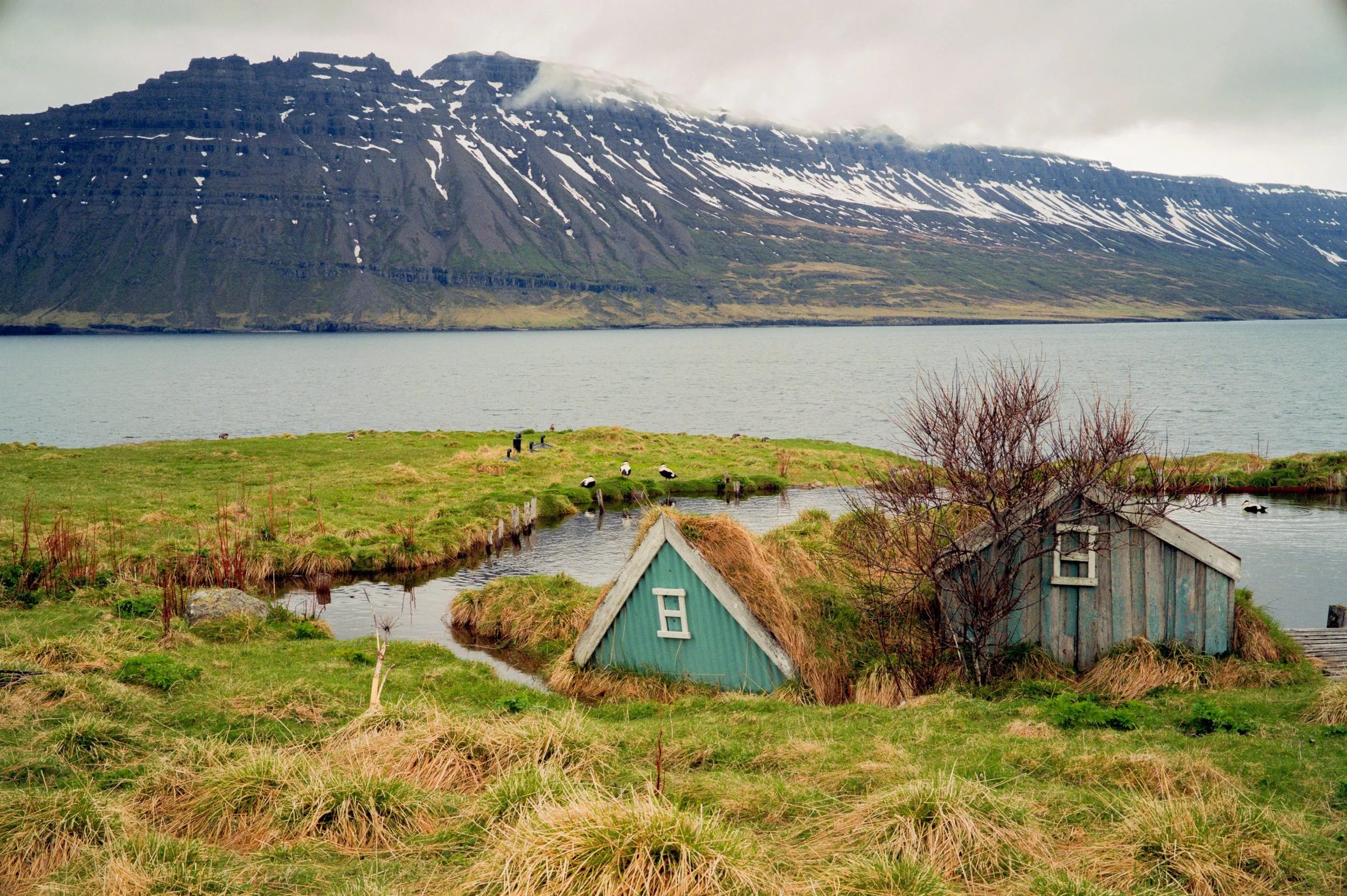 Seydisfjordur_20240606_16051833.jpg