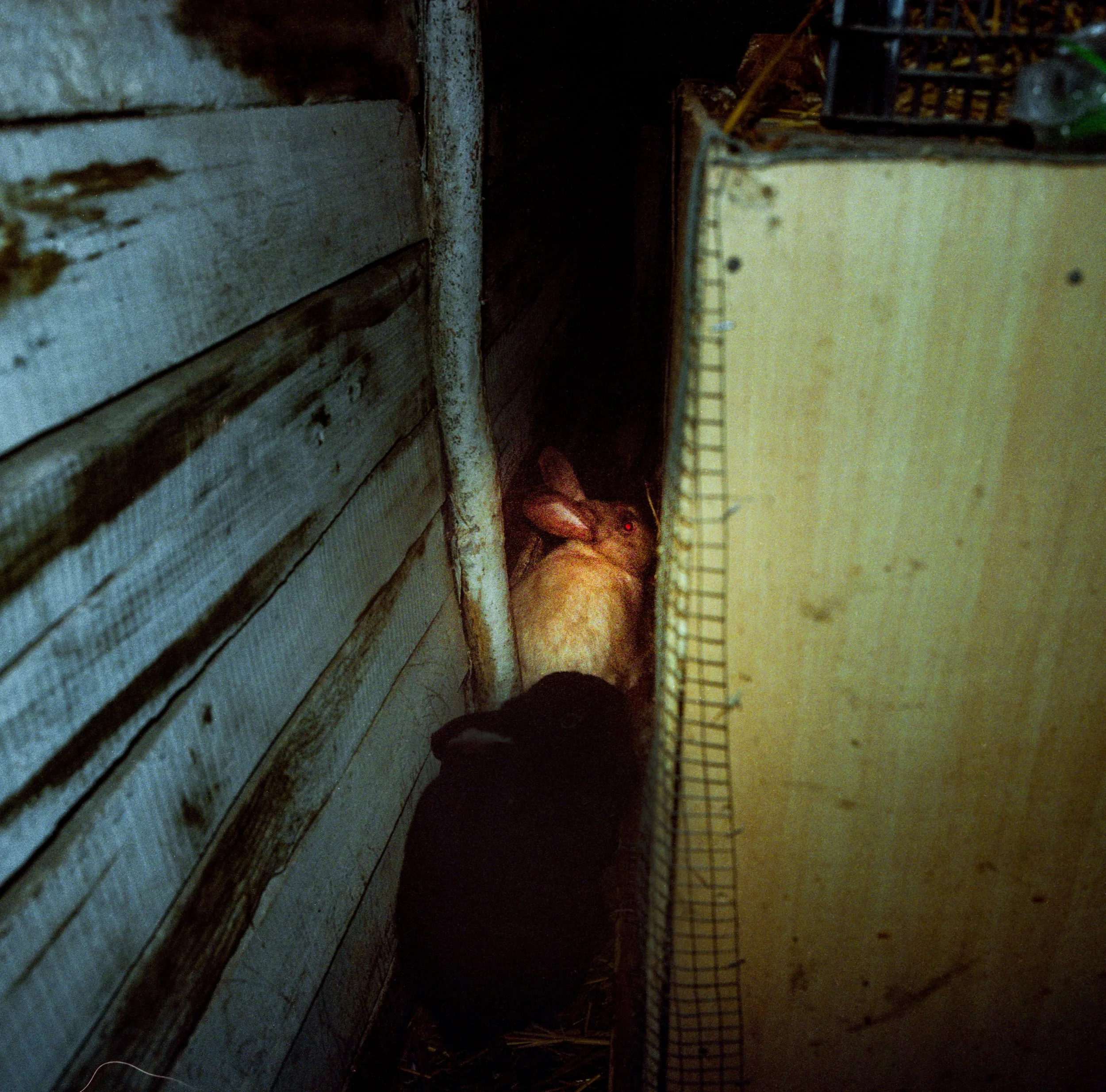 Dark corner inside rural farm structure in Hungary