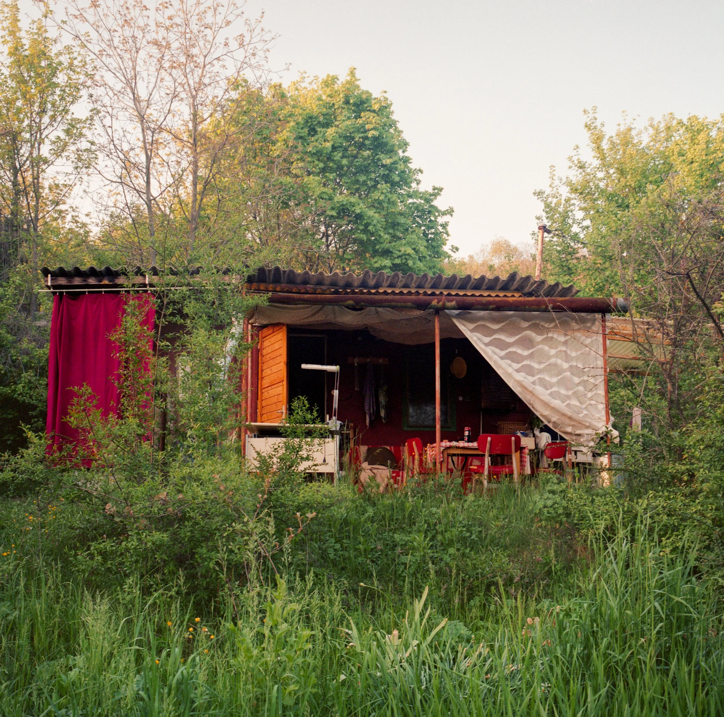 Small red farm structure surrounded by tall grass