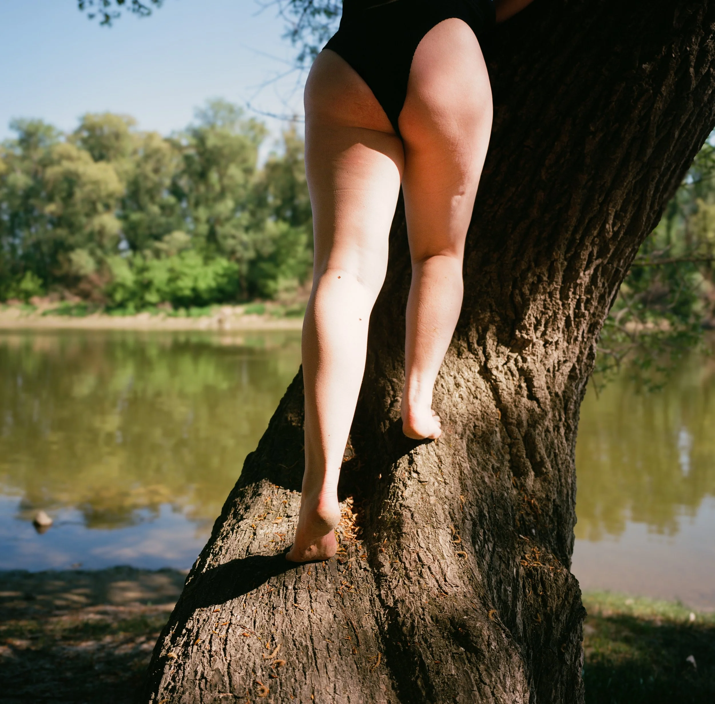 Bare legs climbing tree beside lake