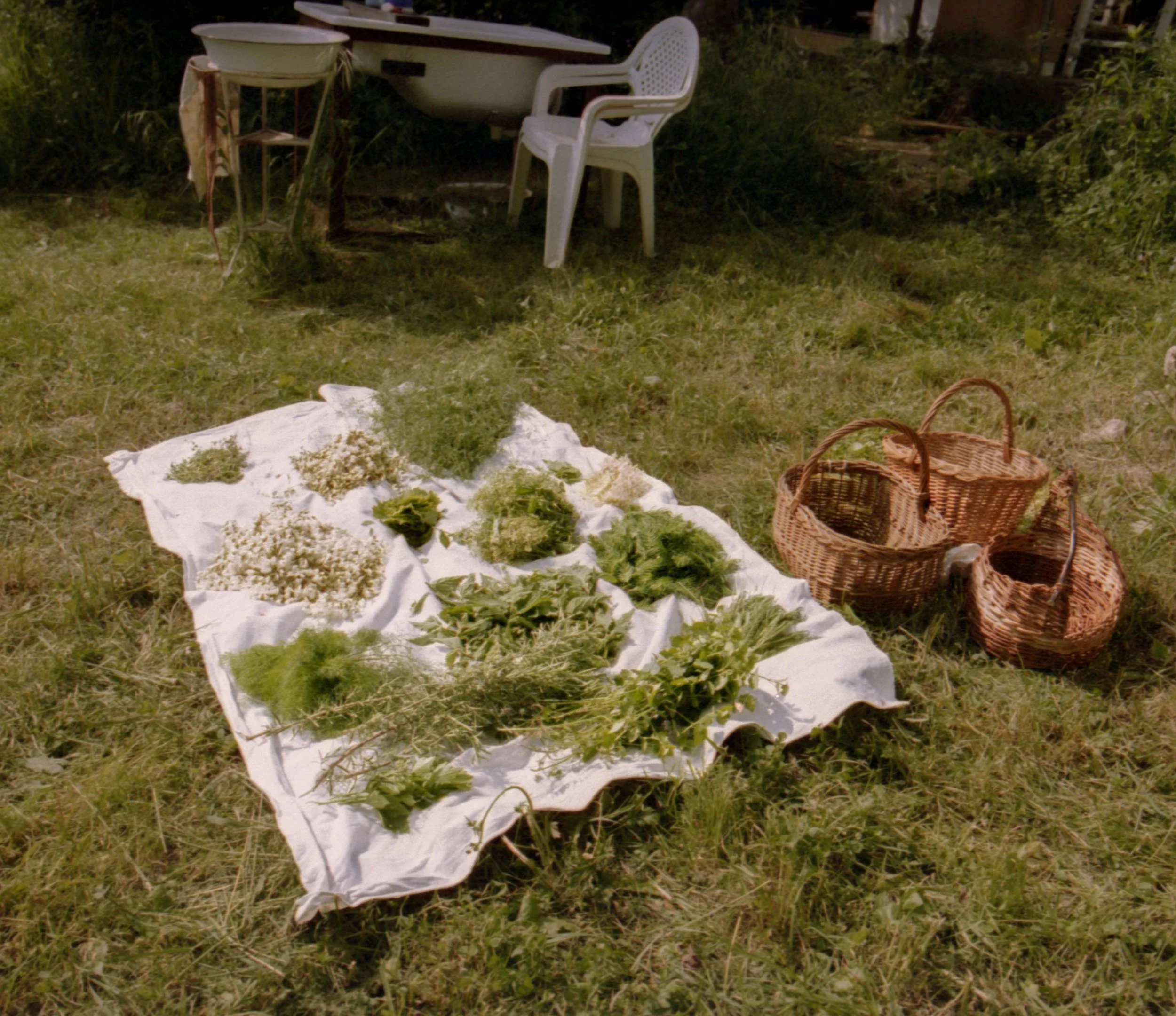 Lujza_20250516_070.jpg