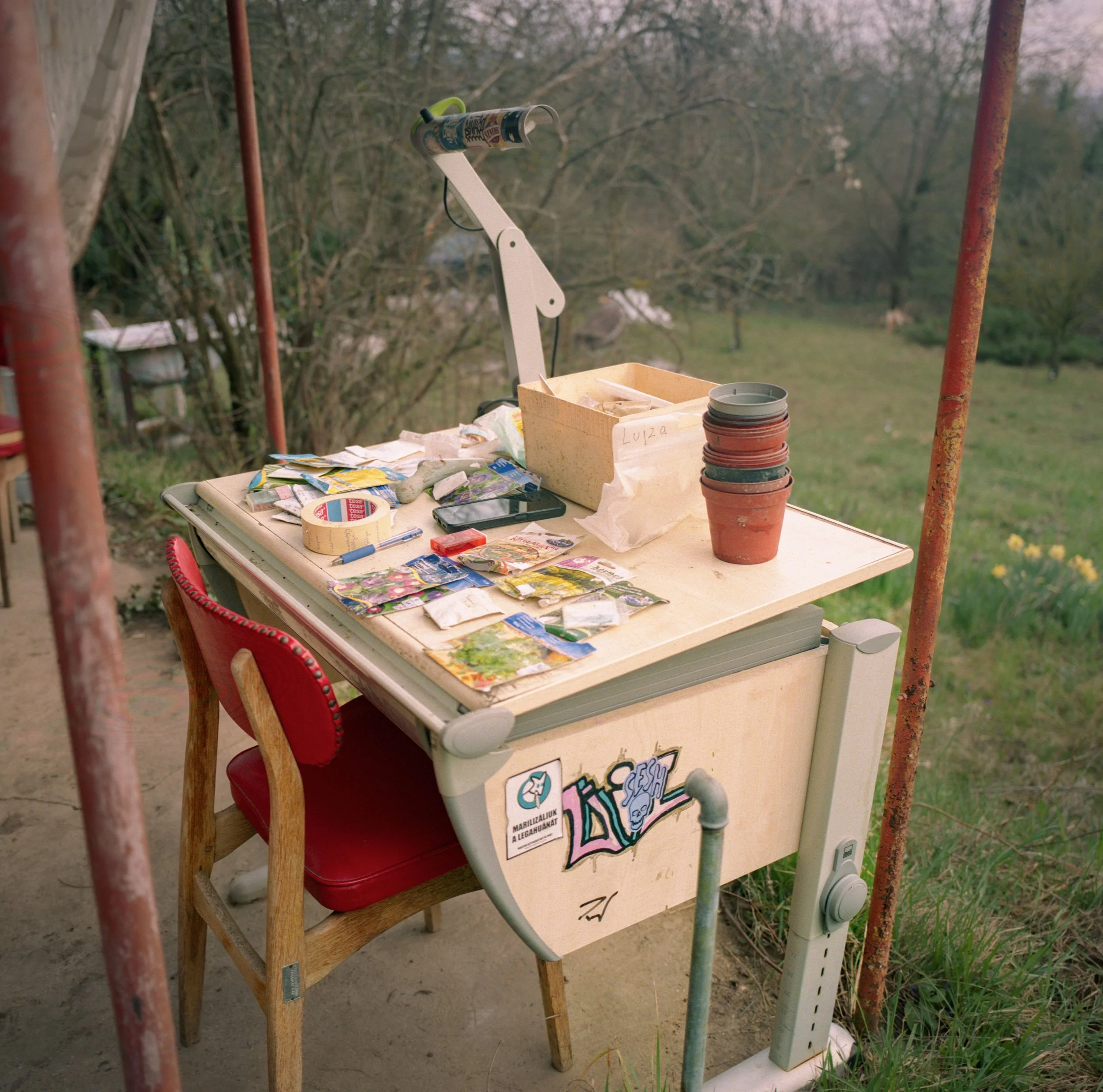 Outdoor table with seeds and supplies in garden