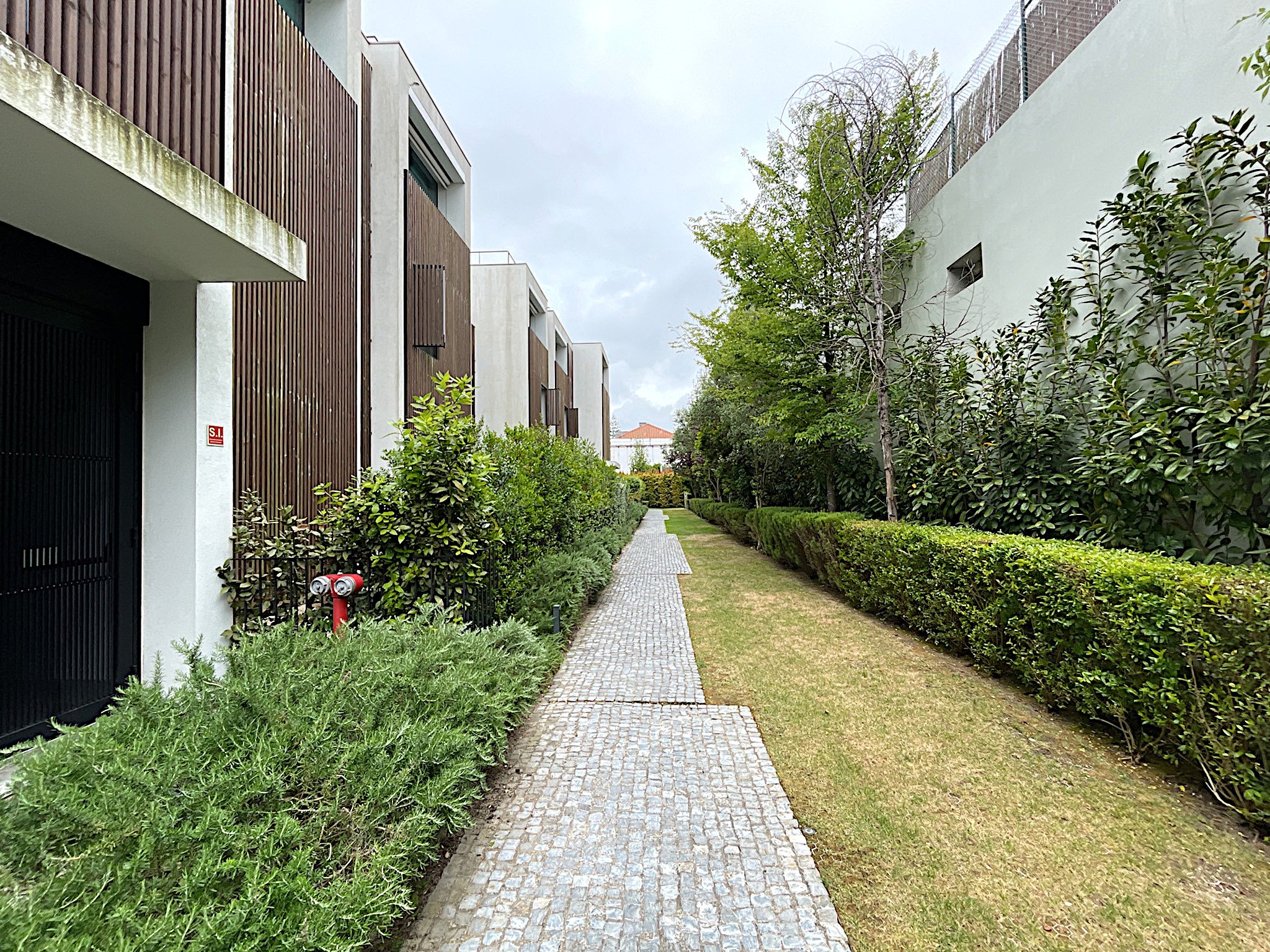 B6.jpg