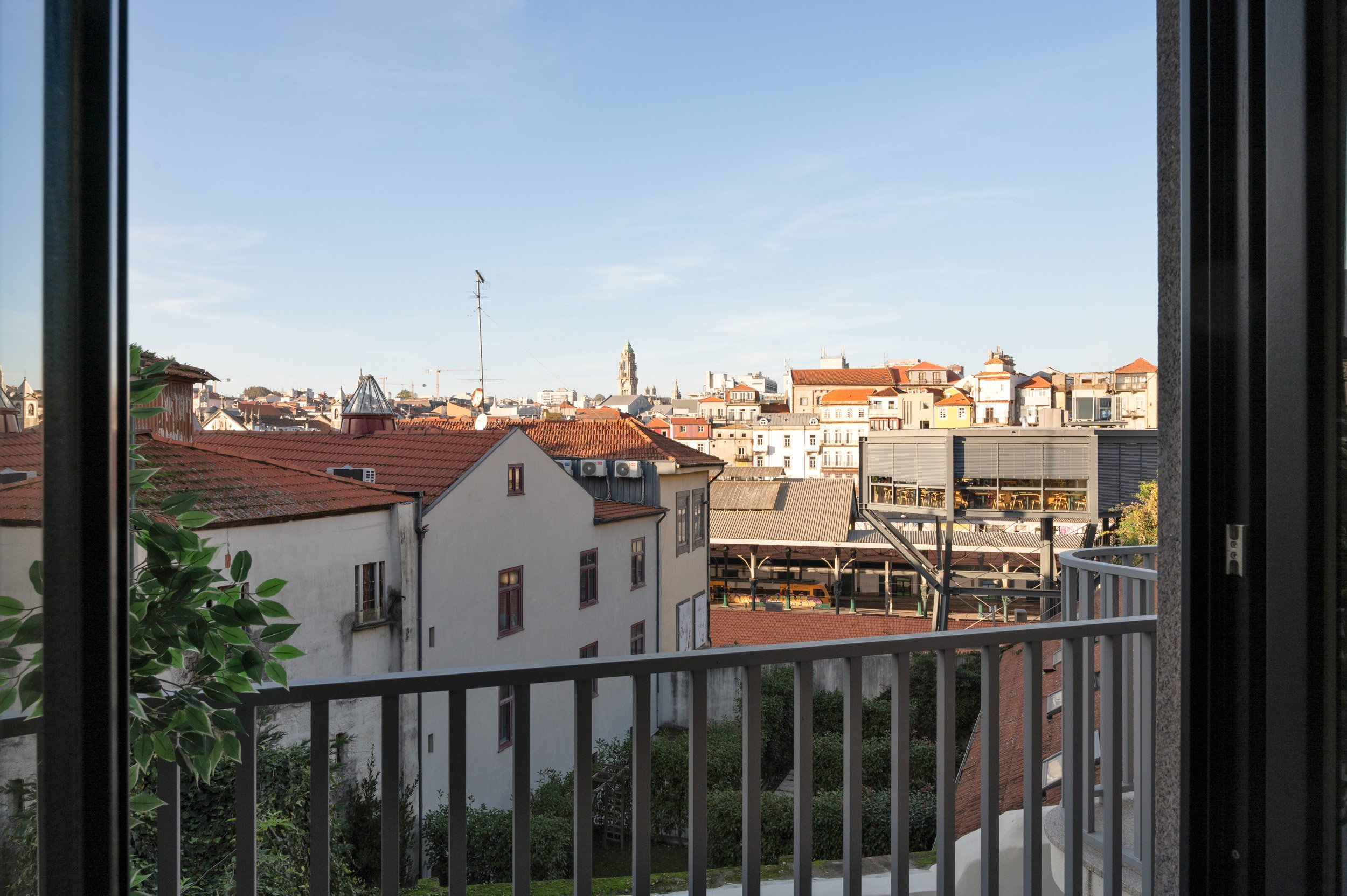 Z15_8663.jpg