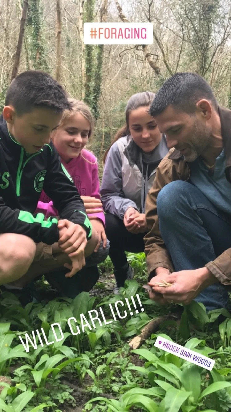 Foraging in Ireland