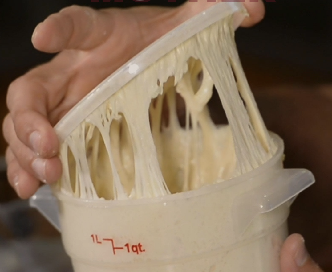 Sourdough Mother Class