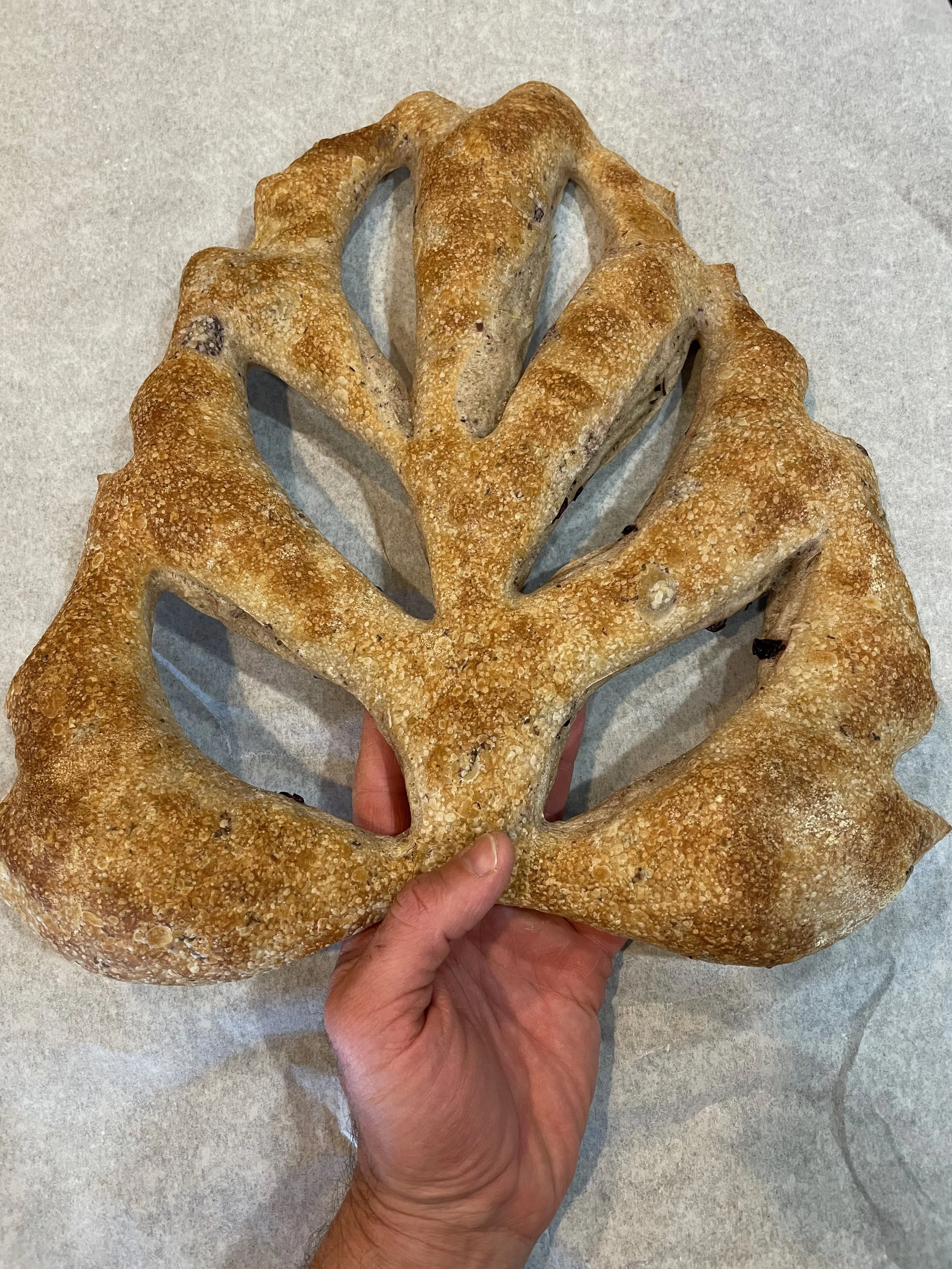fougasse.jpeg
