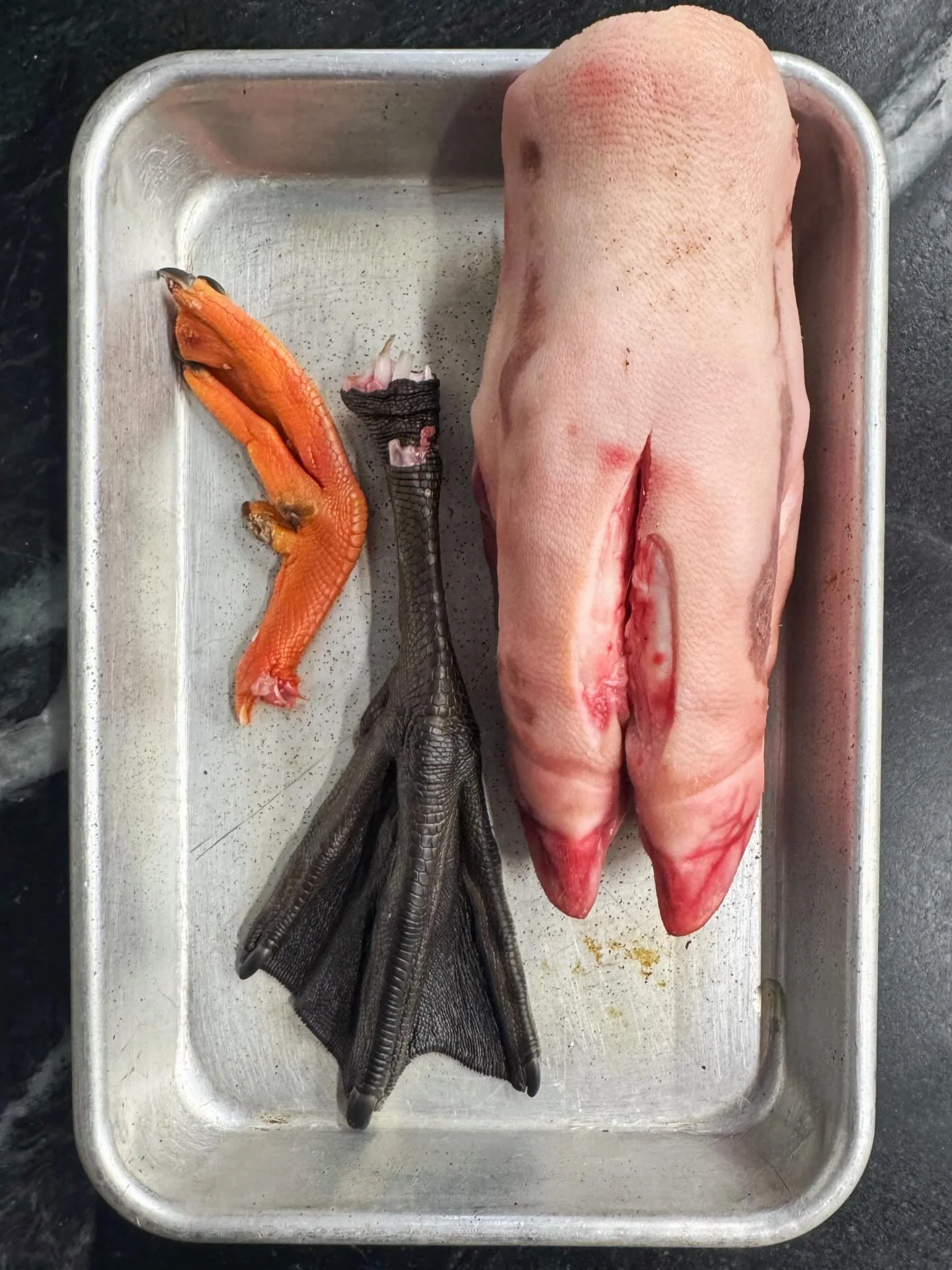 Don&rsquo;t skip the feet!

Pig feet, cow feet, chicken feet, duck and goose feet are some of the most important ingredients you can add to bone broth &mdash; and they&rsquo;re also some of the most overlooked.

Feet are rich in collagen, gelatin, an