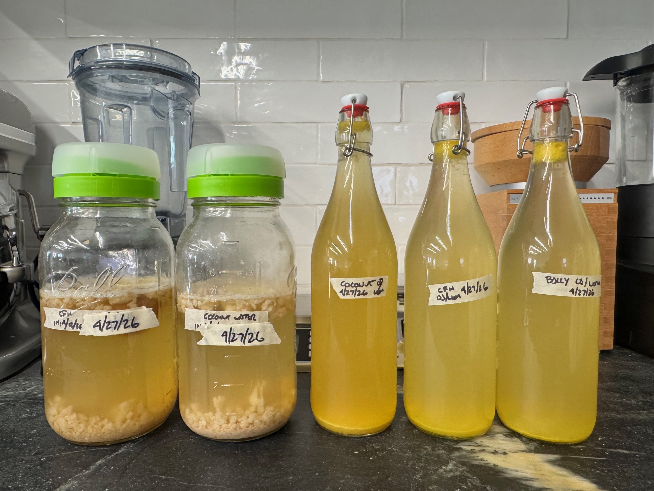 Water Kefir: An Ancient Ferment Finds Its Way to the Modern Stone Age Kitchen