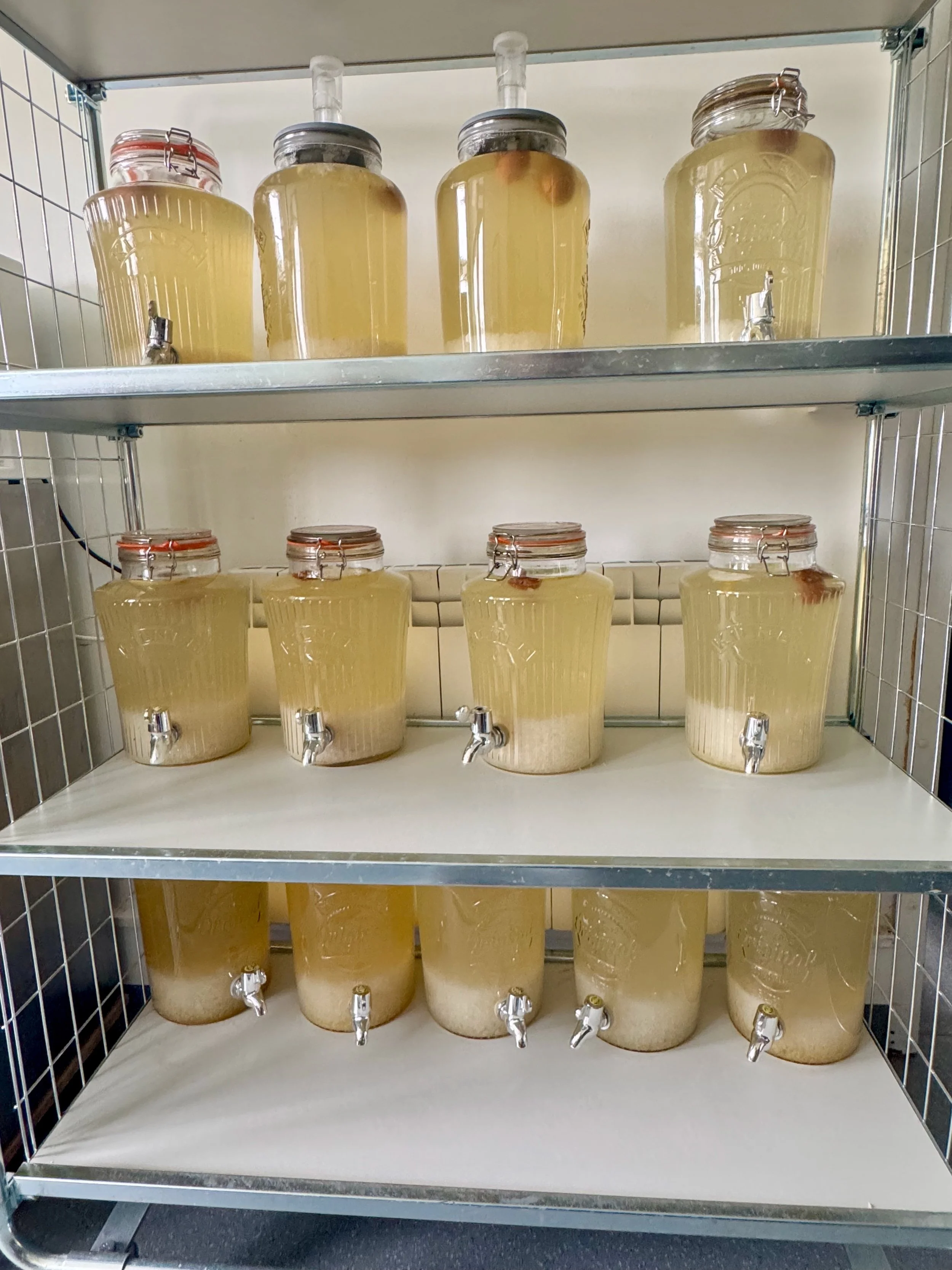 Water kefir at Ballymaloe