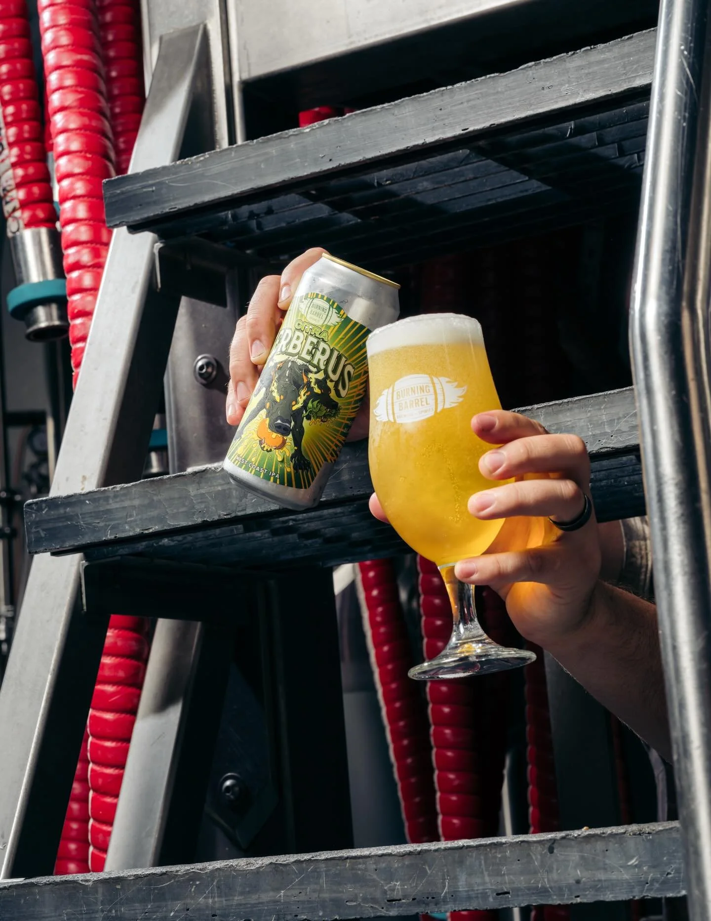 Citra-Cerberus-photo 1.jpg
