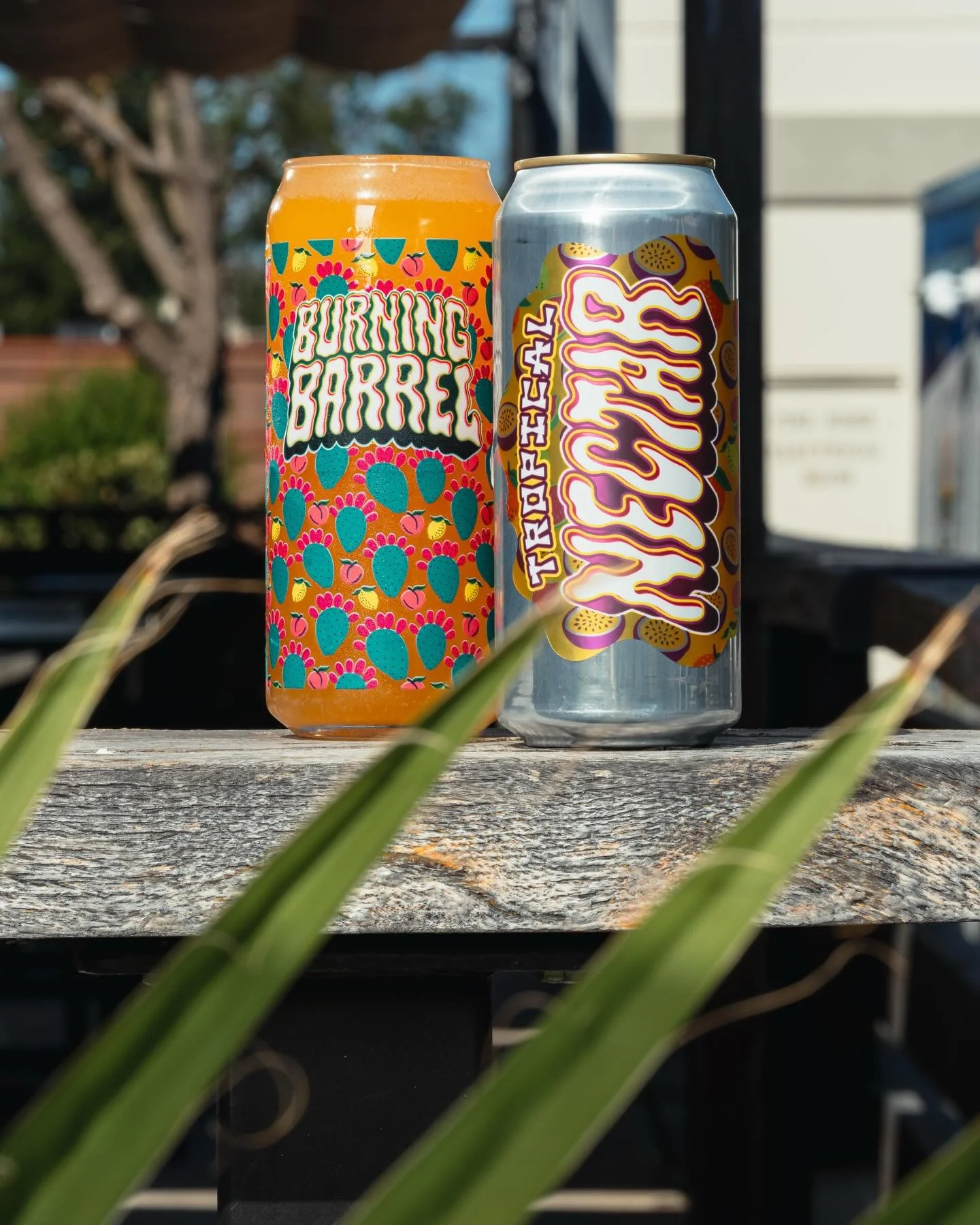 tropical nectar photo 1.jpg