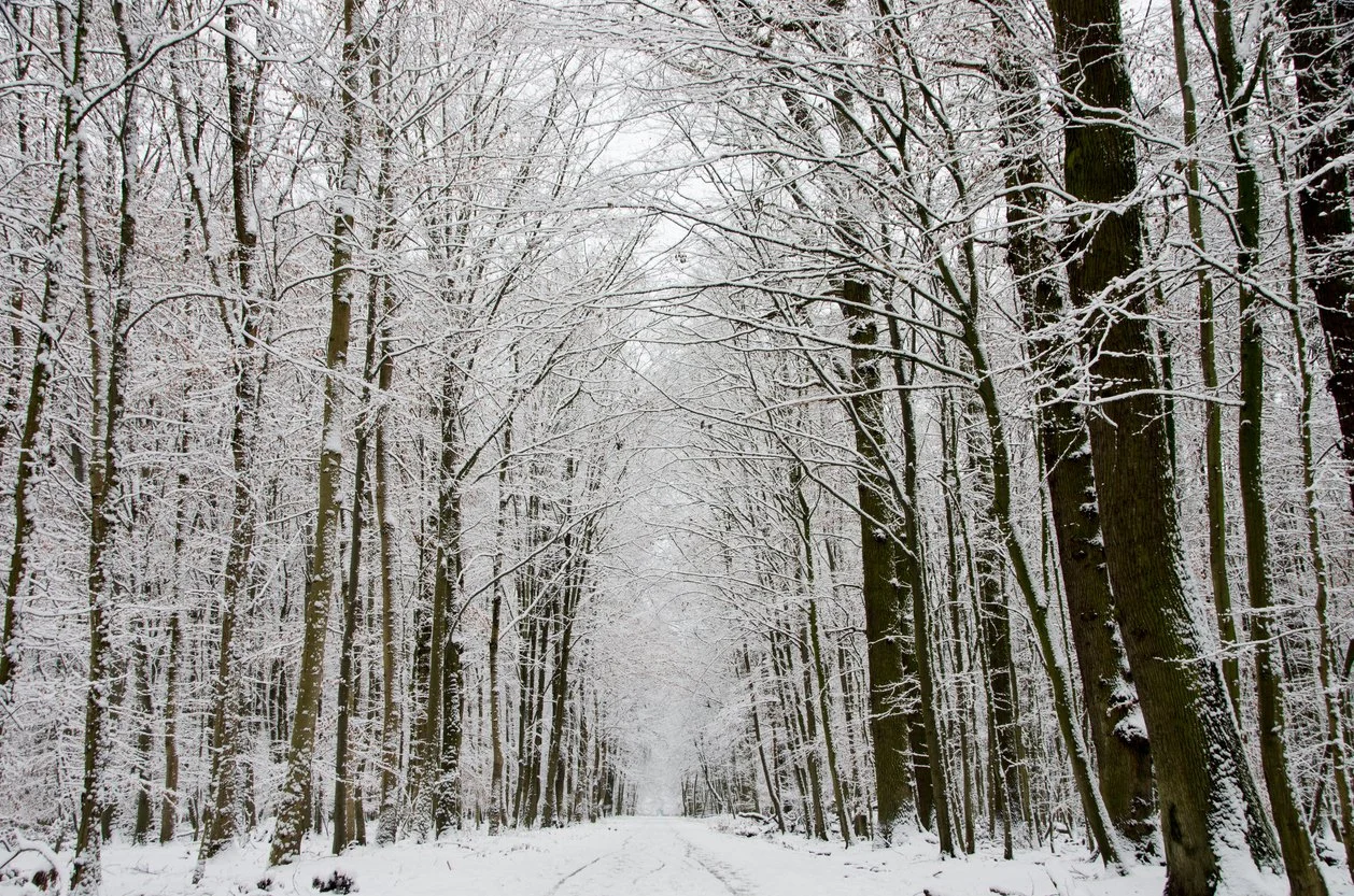 Silent Saturday Solstice Mini Retreat