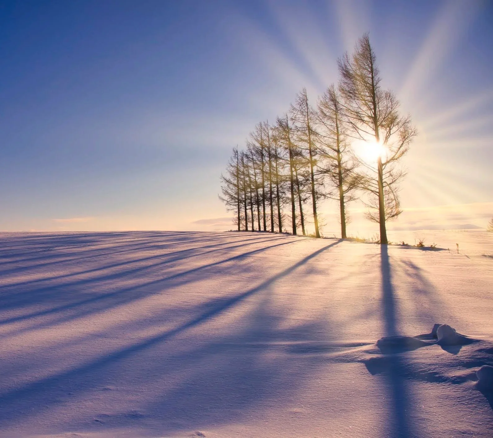 Rays of Light in the Darkness:Meditations for Working with Depression