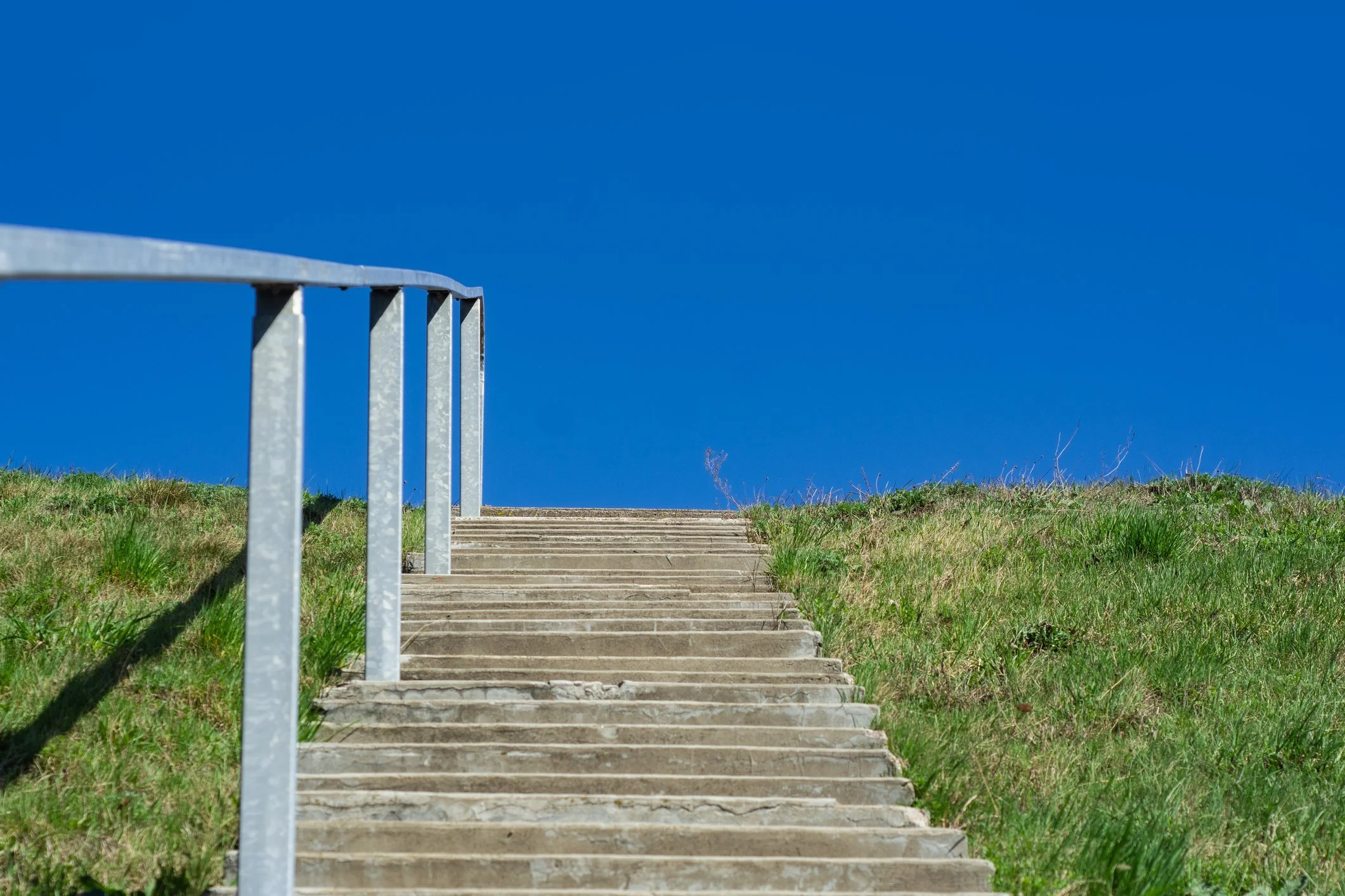 A Clear Path to Happiness