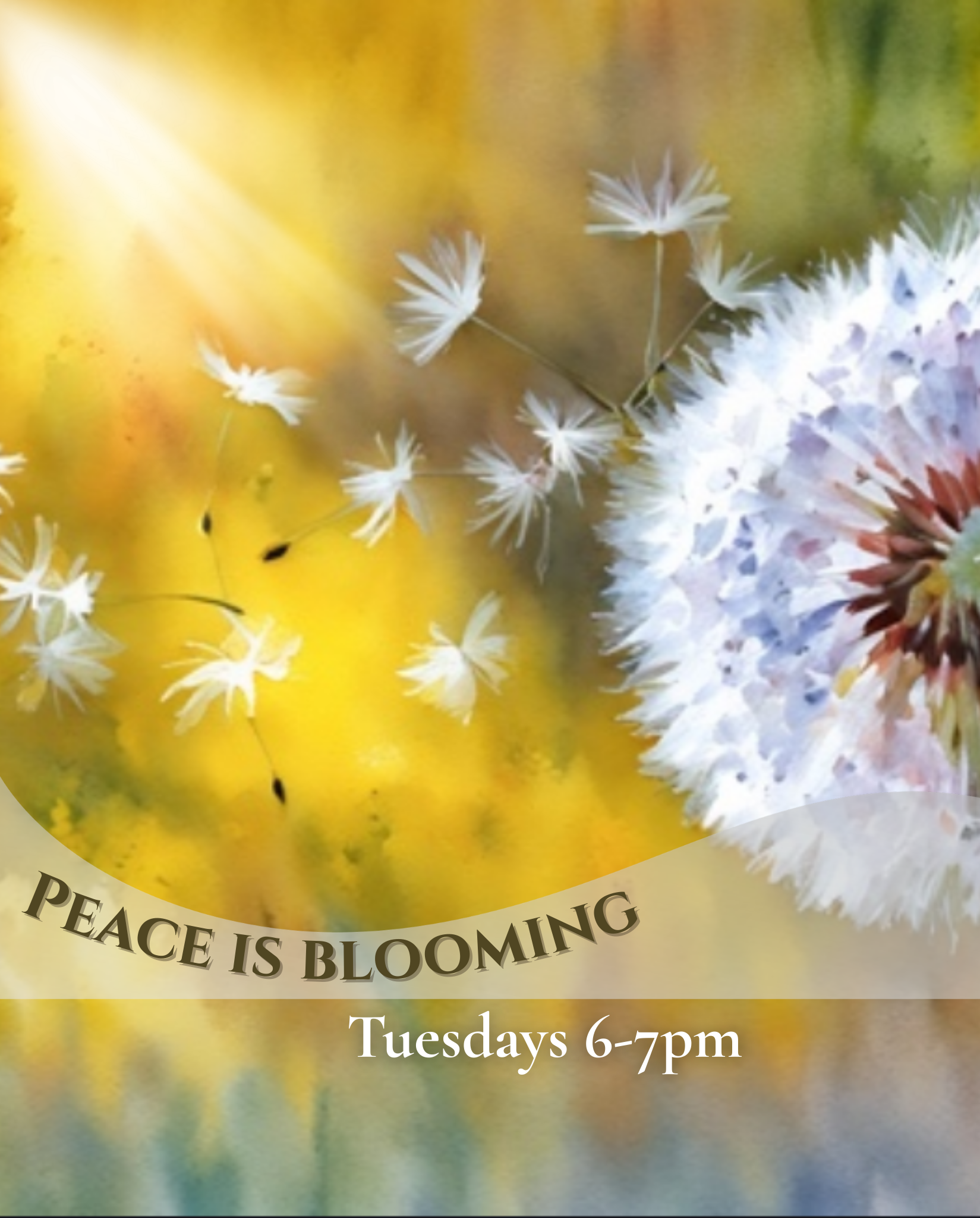 Peace is Blooming