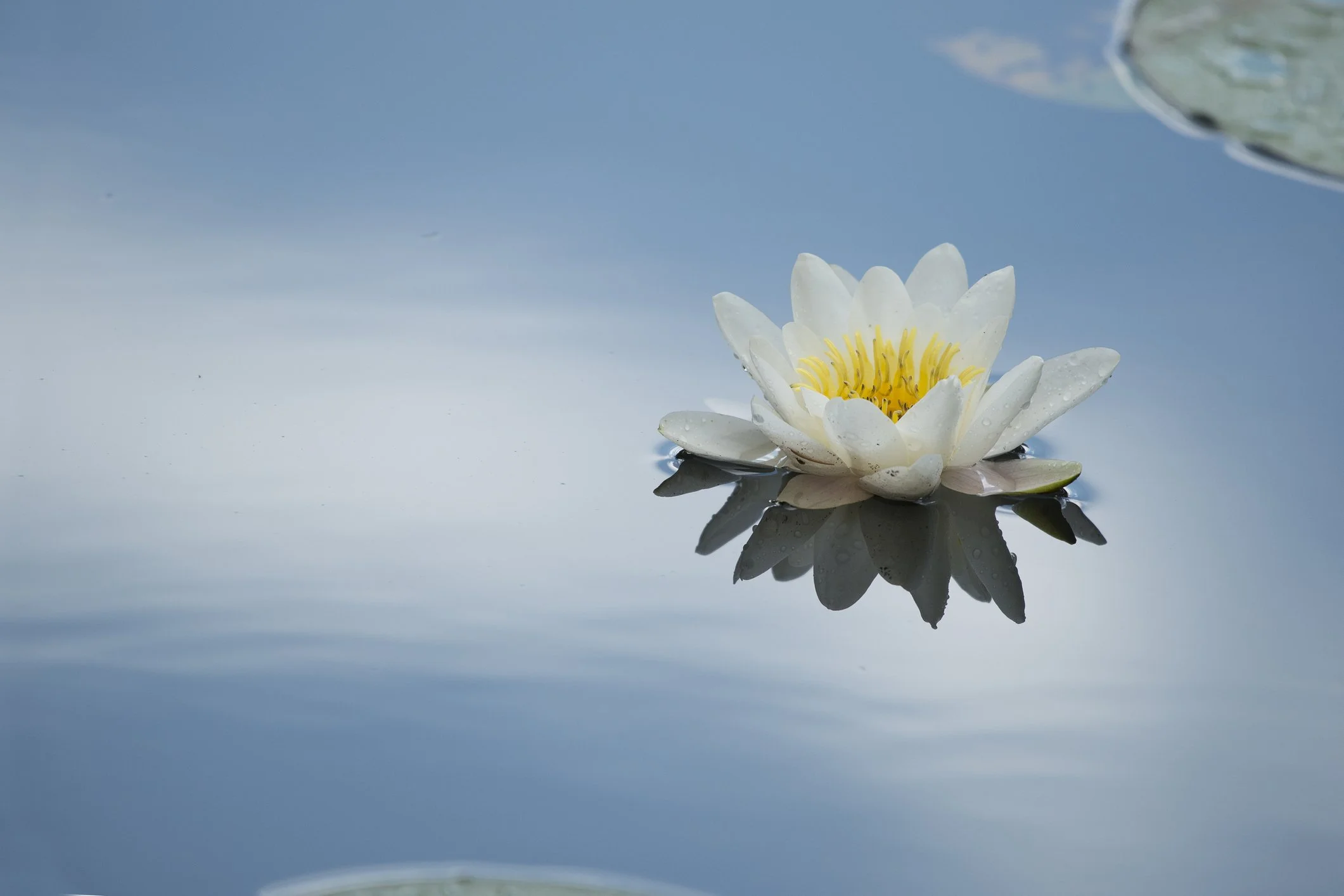 MEDITATION ON THE CLARITY OF MIND