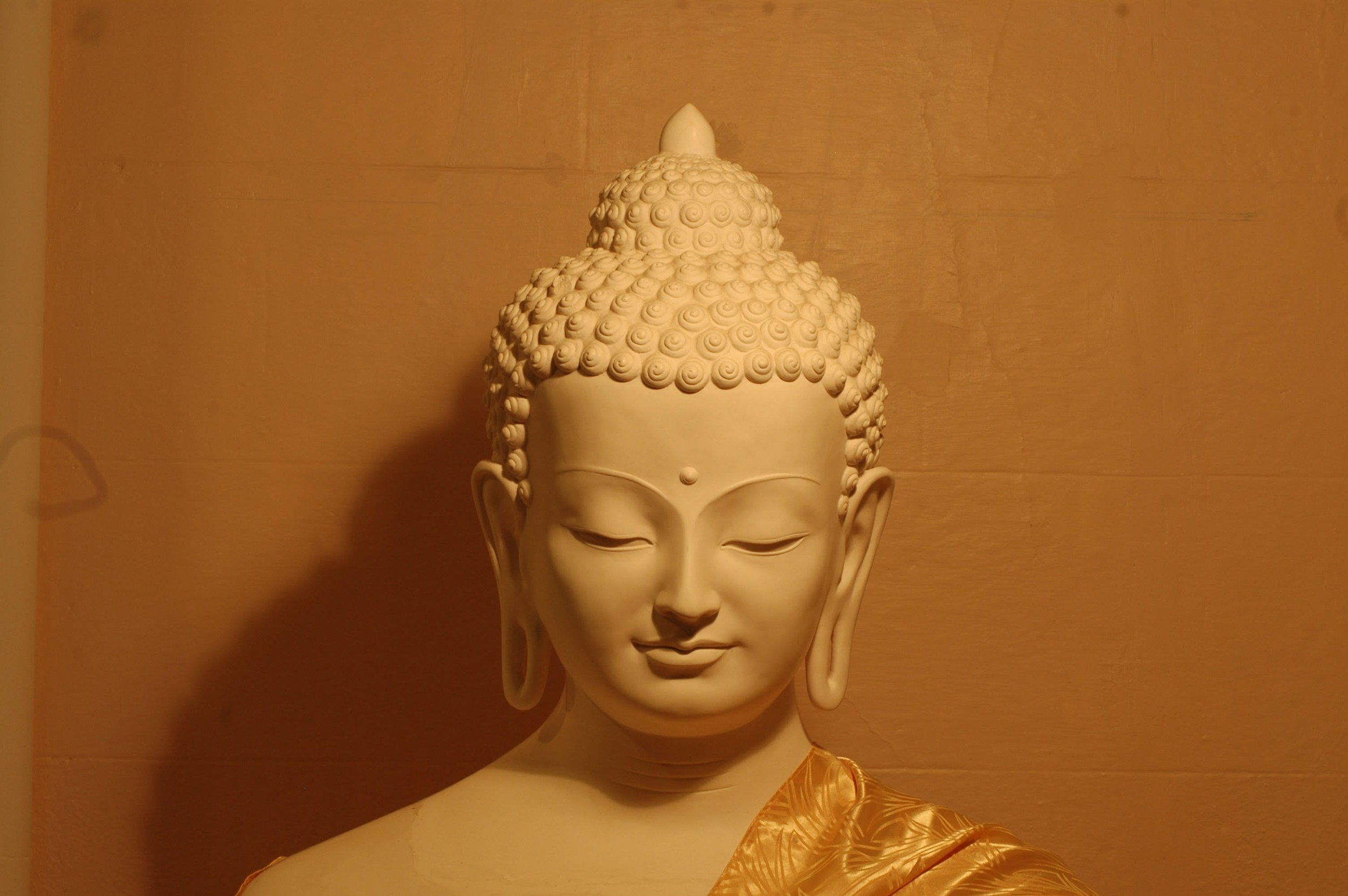 Constant Craving:&nbsp;&nbsp;How the Practice of Contentment Can Change Our Life